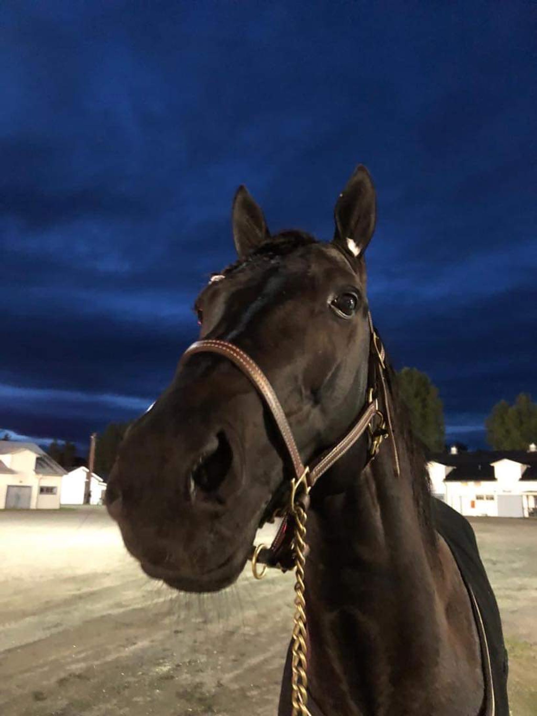 BD7A94D1-0263-4156-A7A8-A1E32691188D