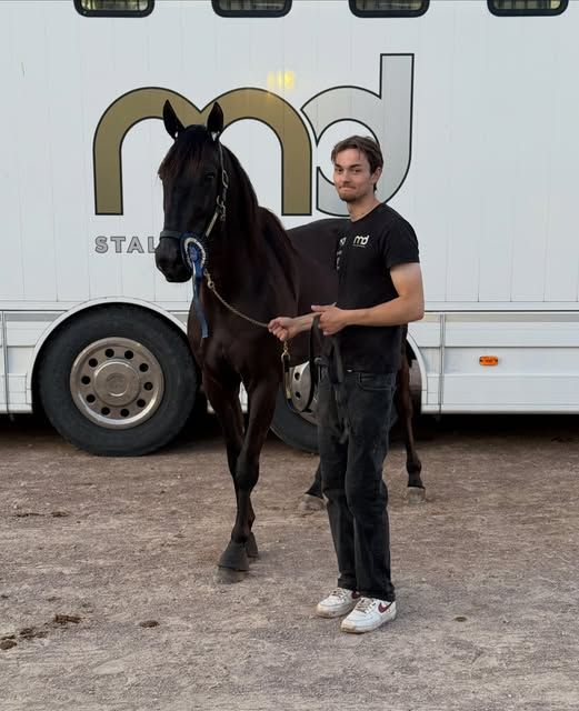 Resan gick till Mantorp i Måndags och med på bussen var Mansell som äntligen visade sin kapacitet och tog en säker seger från ledningen 🥇🥳 sköter om den här speciella killen gör Victor ⭐️ mattiasdjuse.se