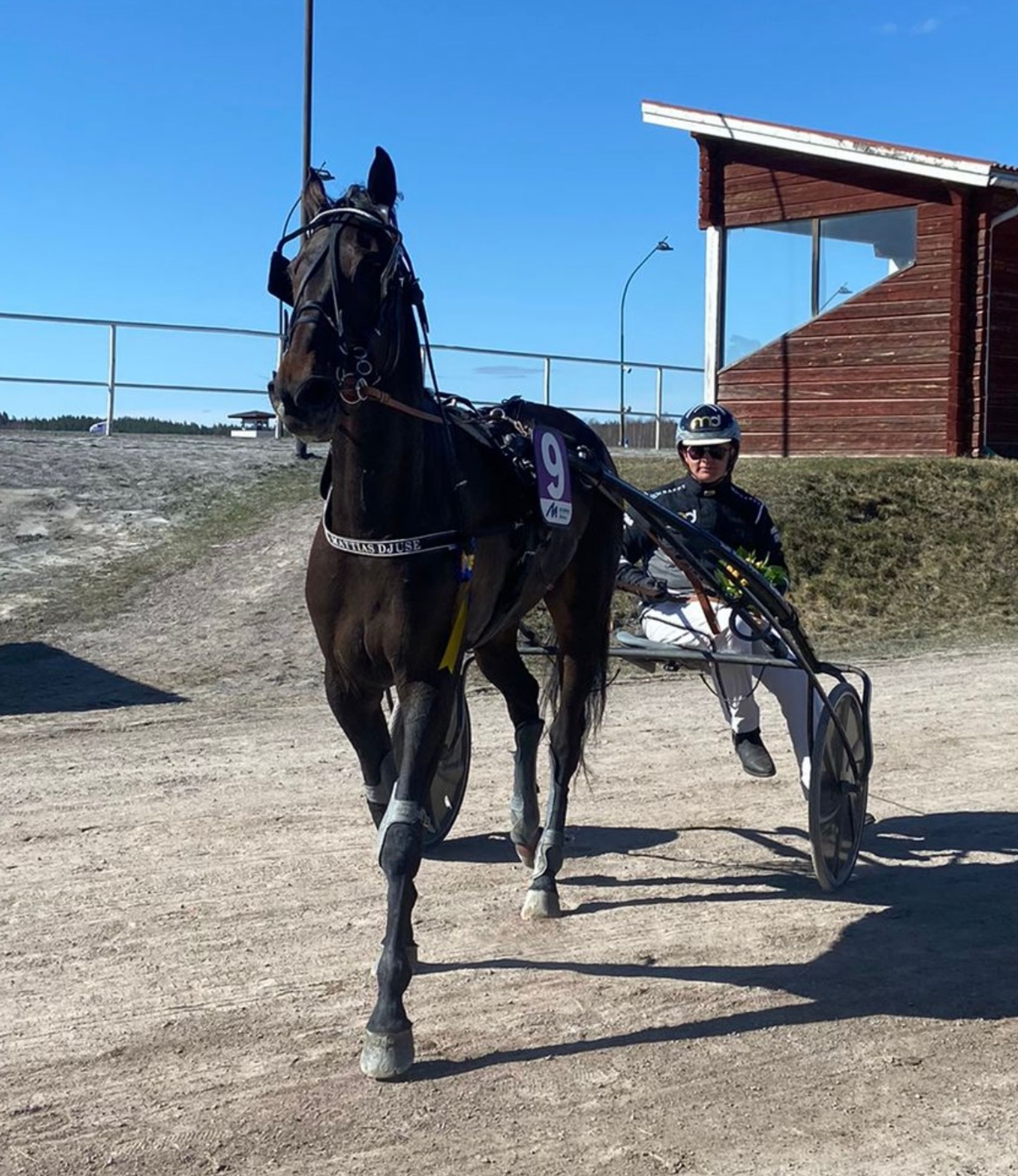 9C8E6145-1218-43BF-A507-B1F0EBB14A02