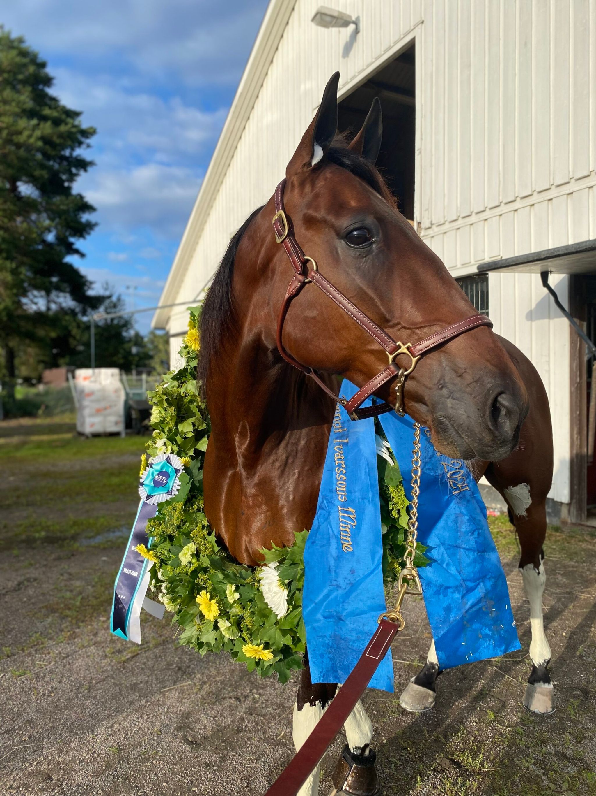 26A40F70-7992-4D9A-9877-0B31AD22C31F