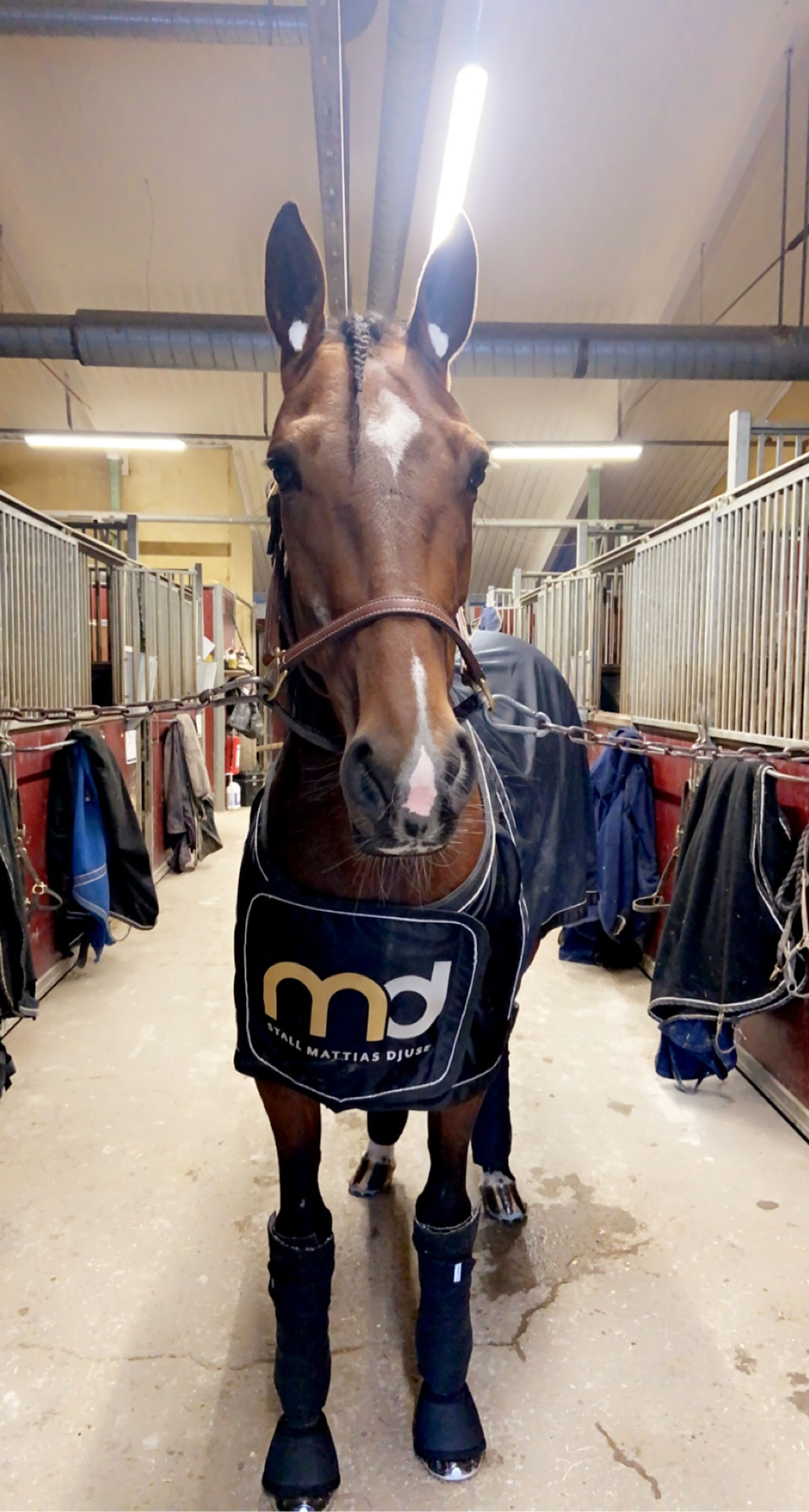 5B530562-C588-41C0-AEBE-C1FD30F3FA24