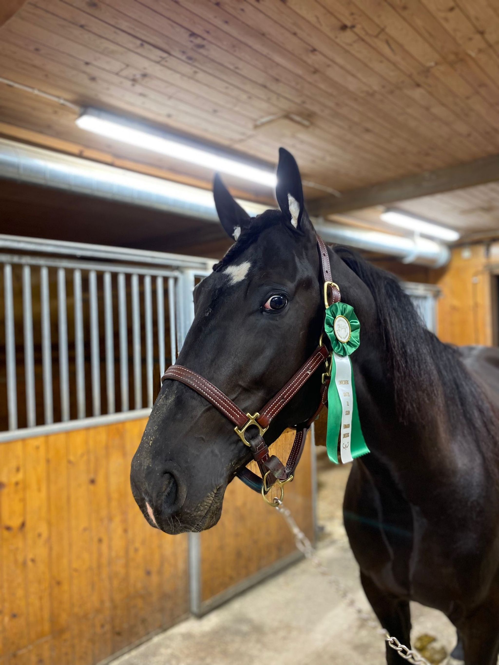 6ef4018c-62af-45b1-af51-2fc7de01e0c5