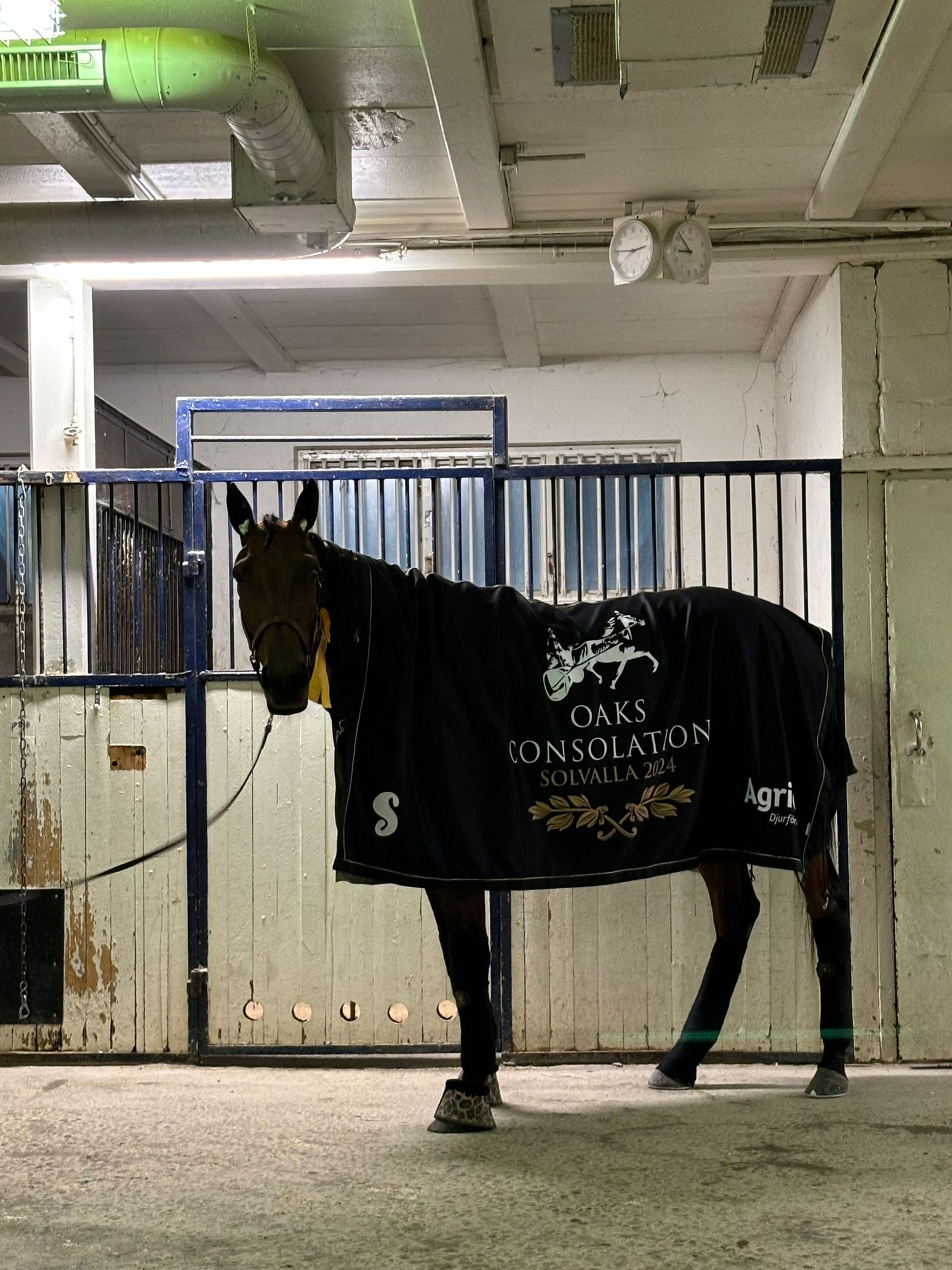 2AA732A8-B7C6-47EE-9F96-F2559538AB18