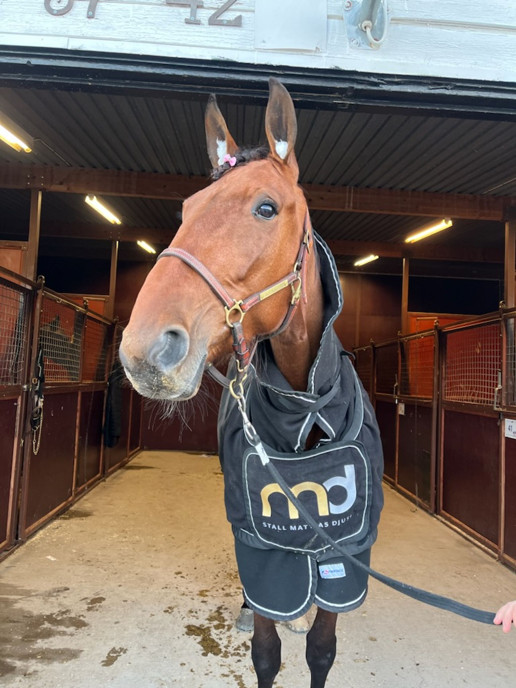 D30CE93F-2100-4B0B-8E9A-EF72B7F09D62