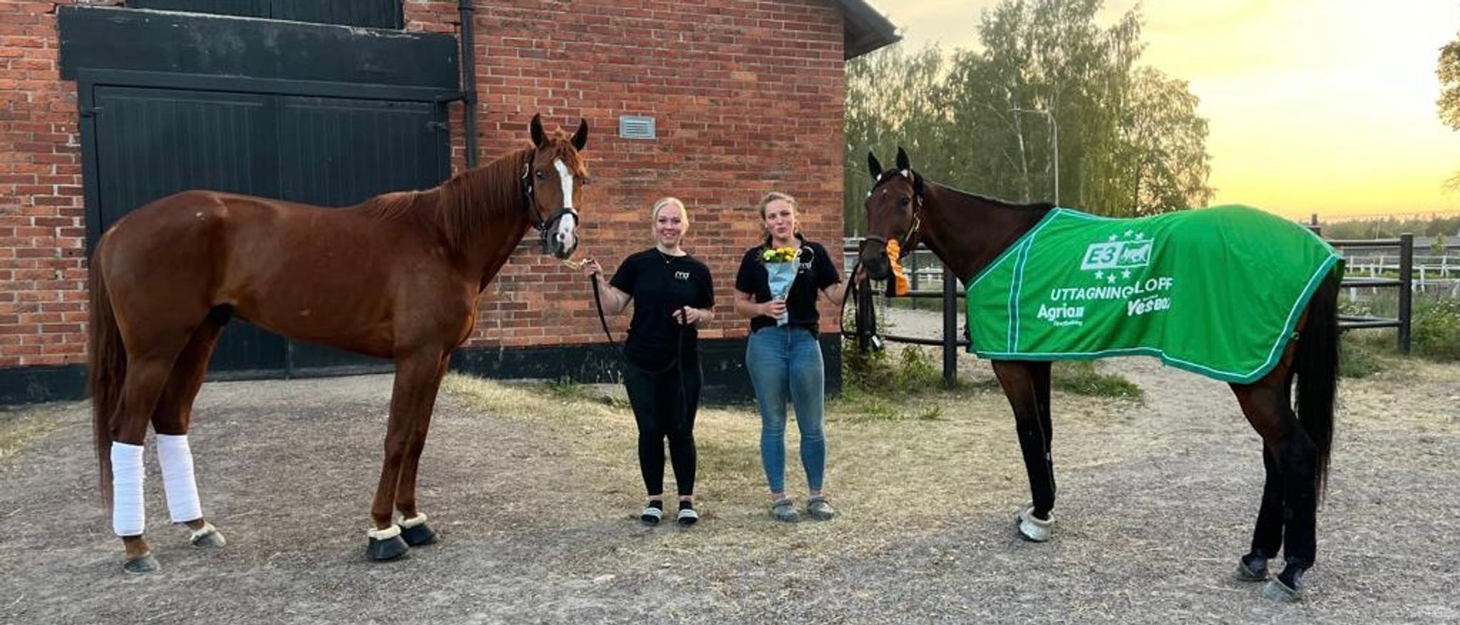 6A9F6C59-2C39-456C-AC46-9B62296BB29E