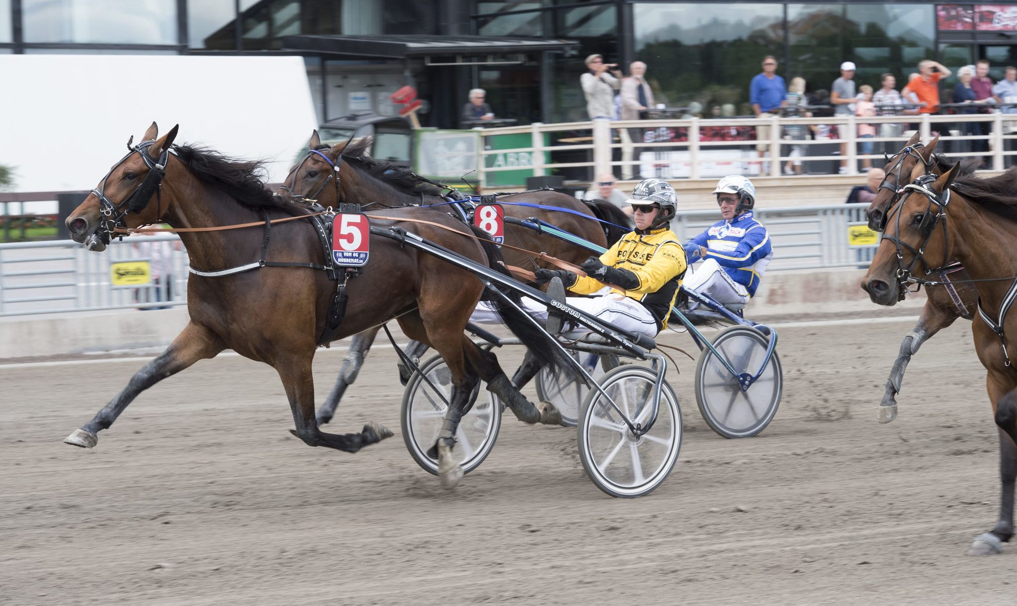 Foto: Tommy Andersson/ALN, Solvalla 160712