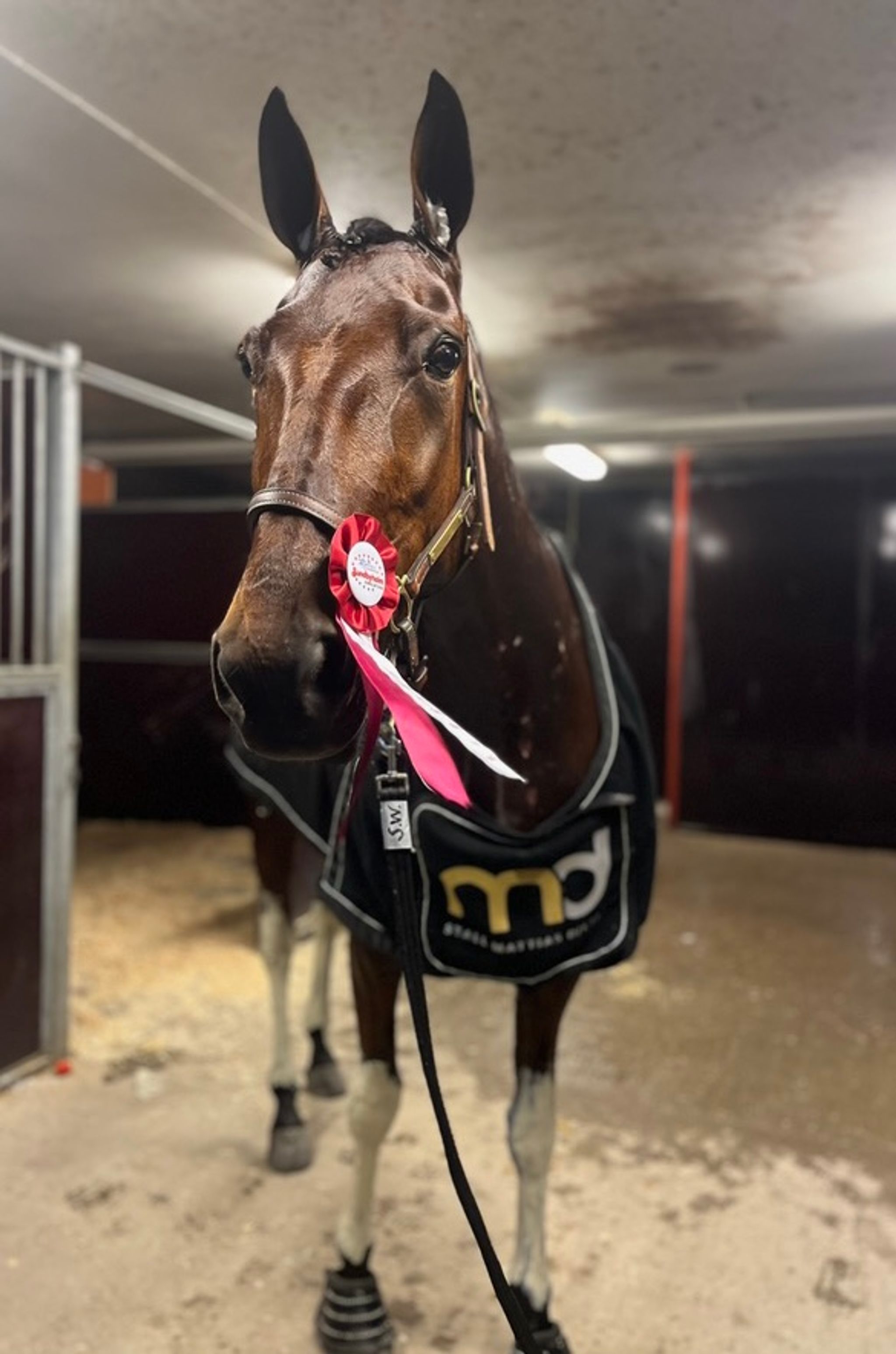 8952F378-3A5F-4CA9-83E9-712E3CCB41D4