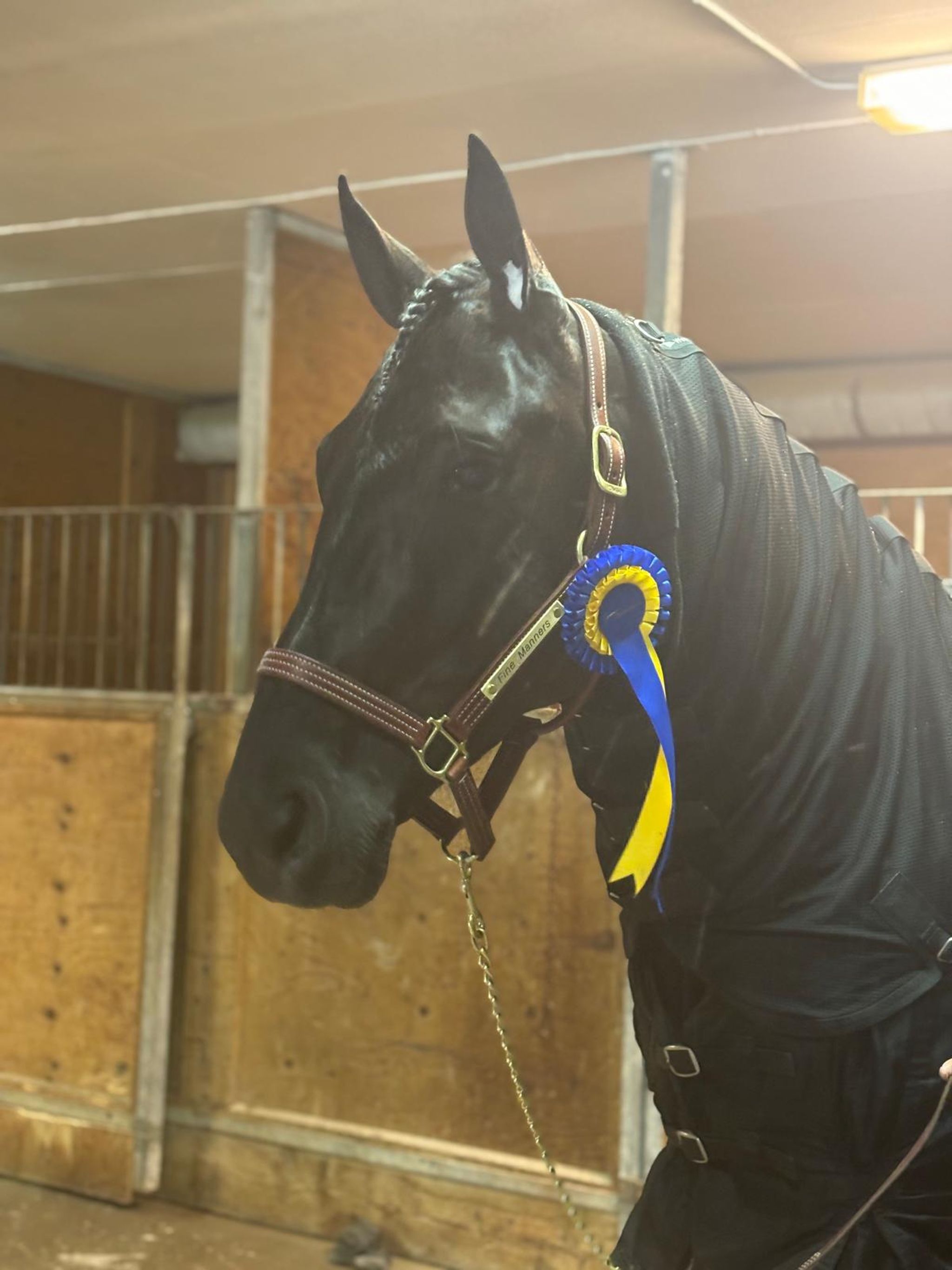 39AFB2D3-9608-41D2-B3F8-25863FEA956C