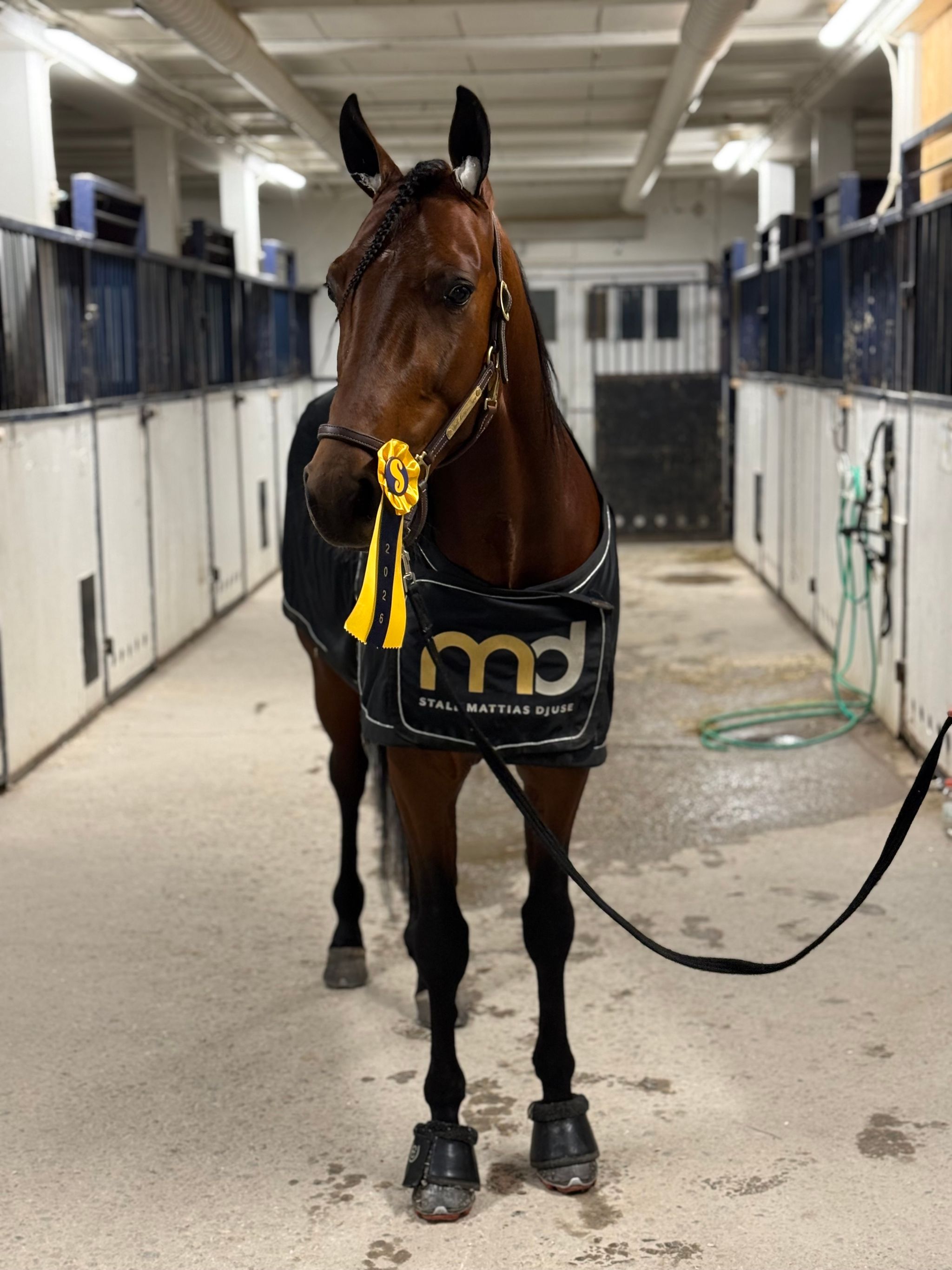 Första för Global Gladiator