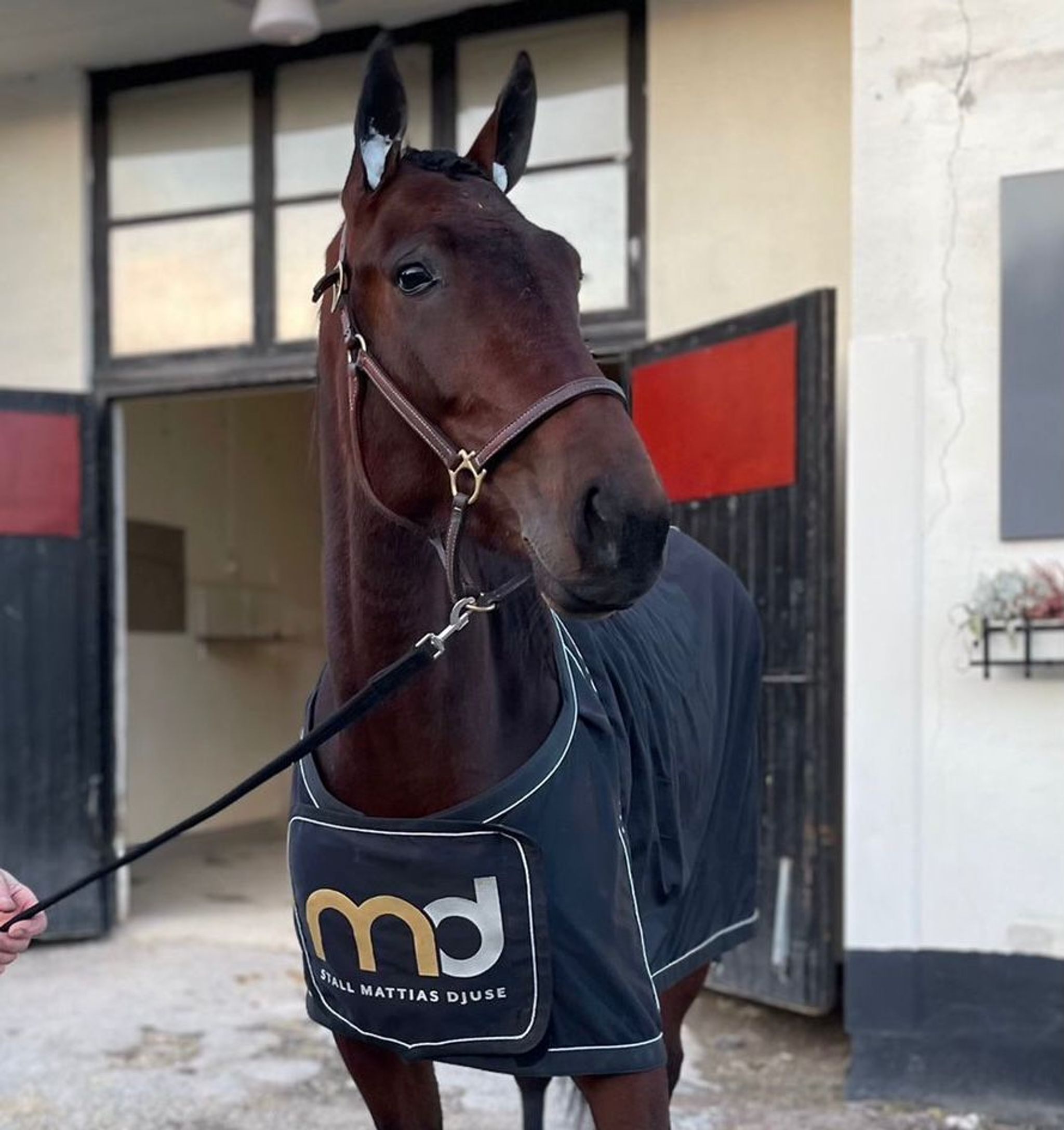 4816B4A9-E8EF-406A-B83C-E805E9F8020B