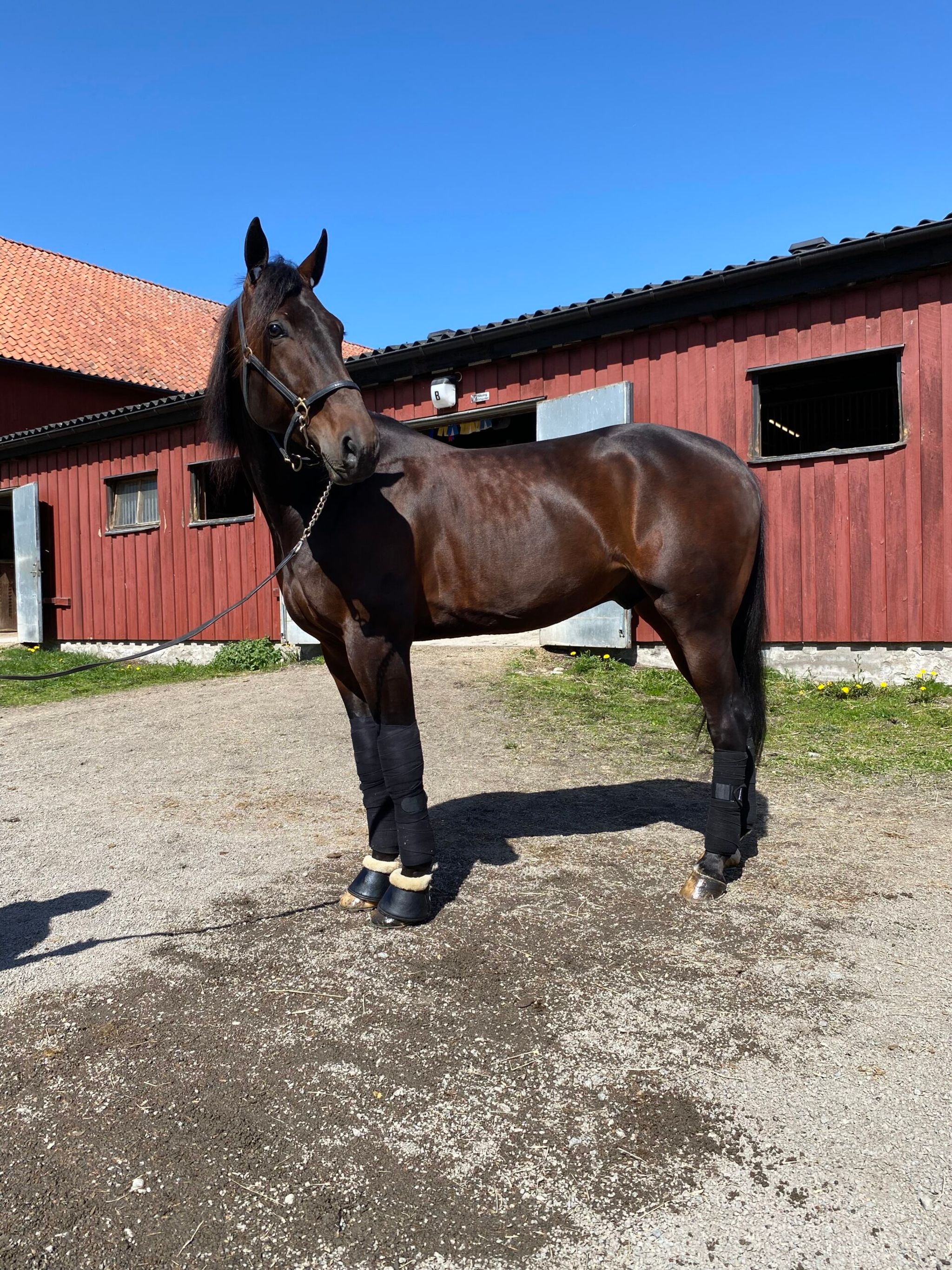 72E0764E-2A96-442E-9648-C109B93087D2