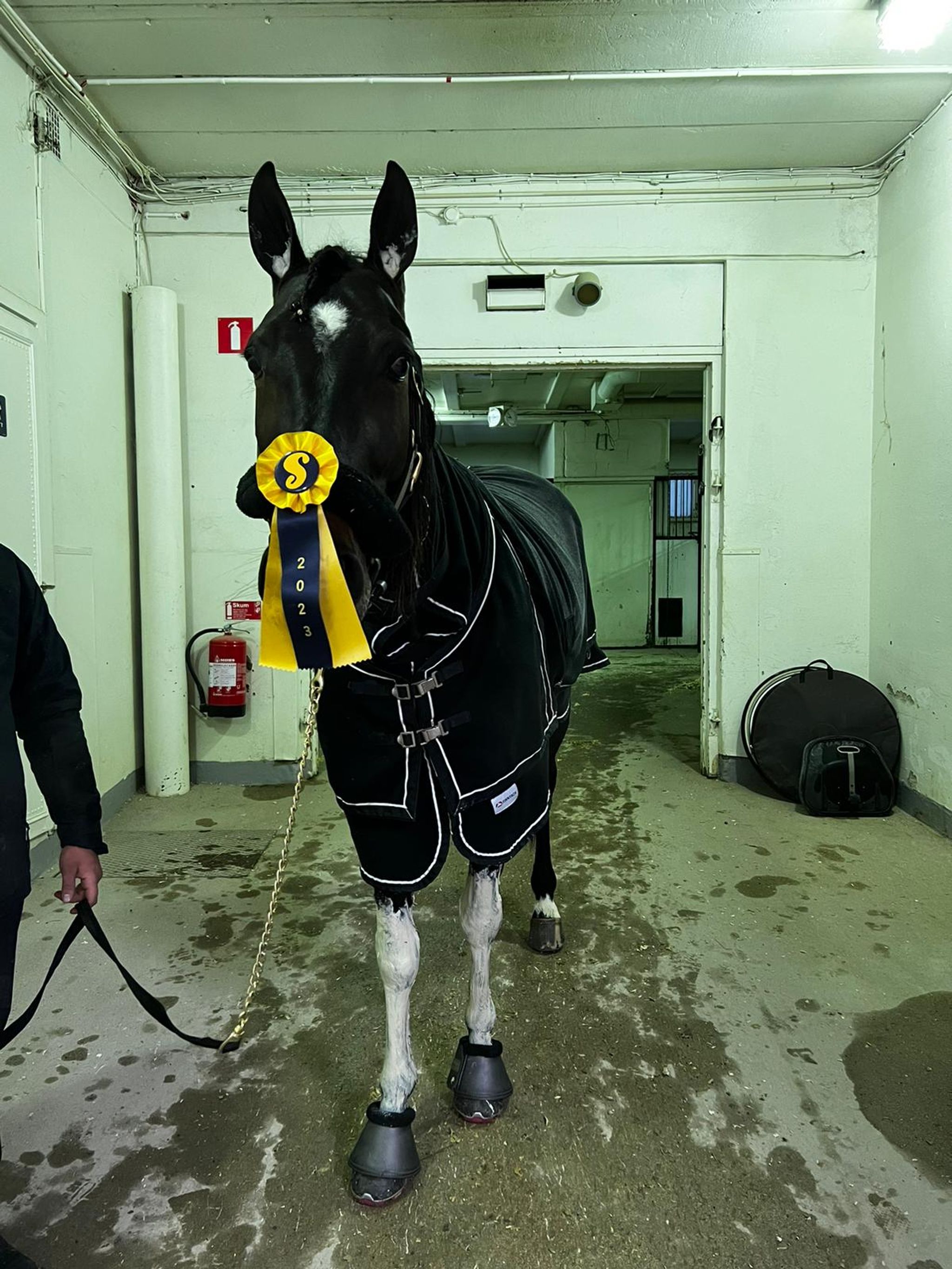 287A89B4-A3DB-4D18-B2BE-A1D1FBB5FB50