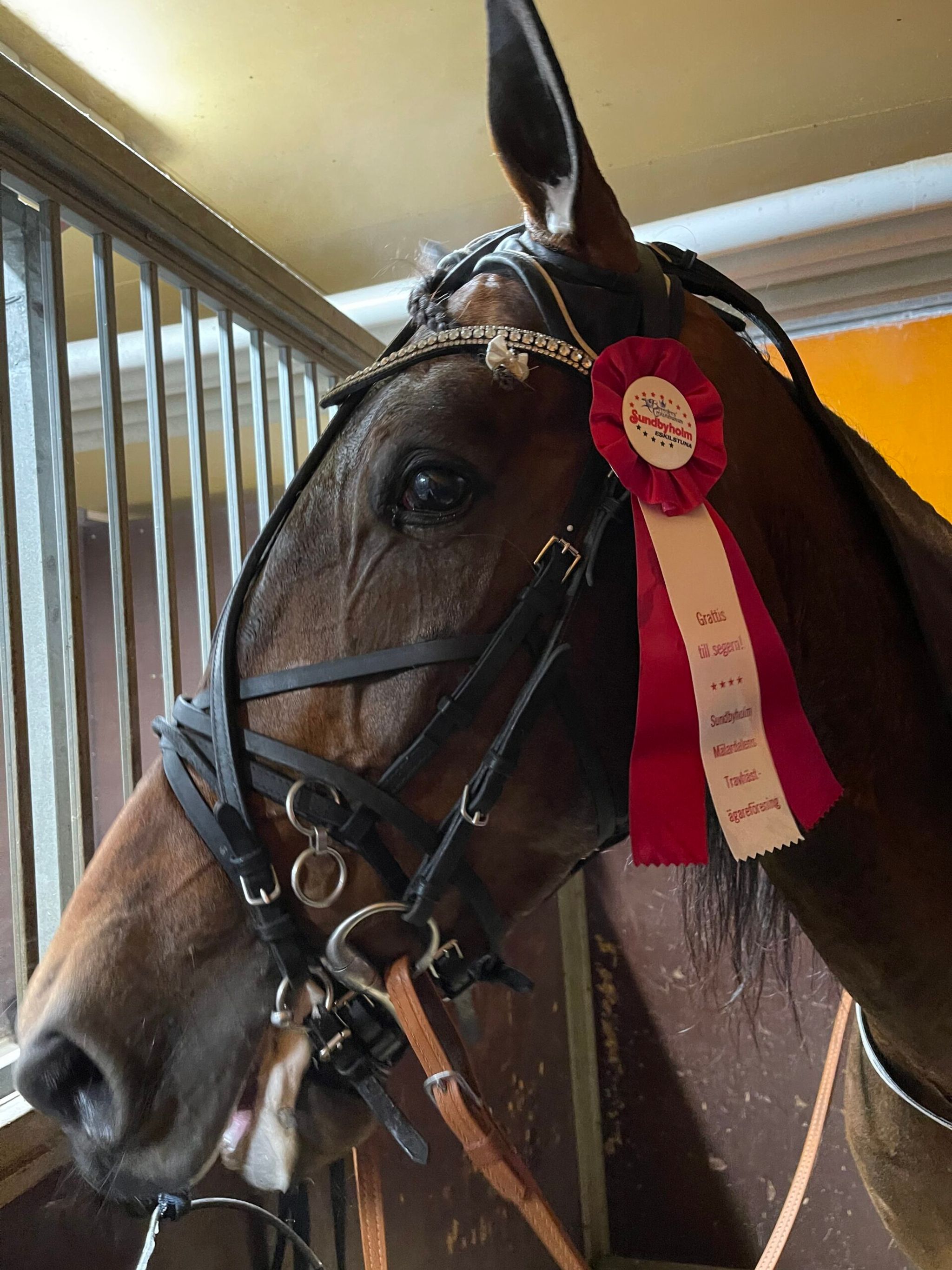 0B7AB55E-AD48-4559-A02B-1E041891177D