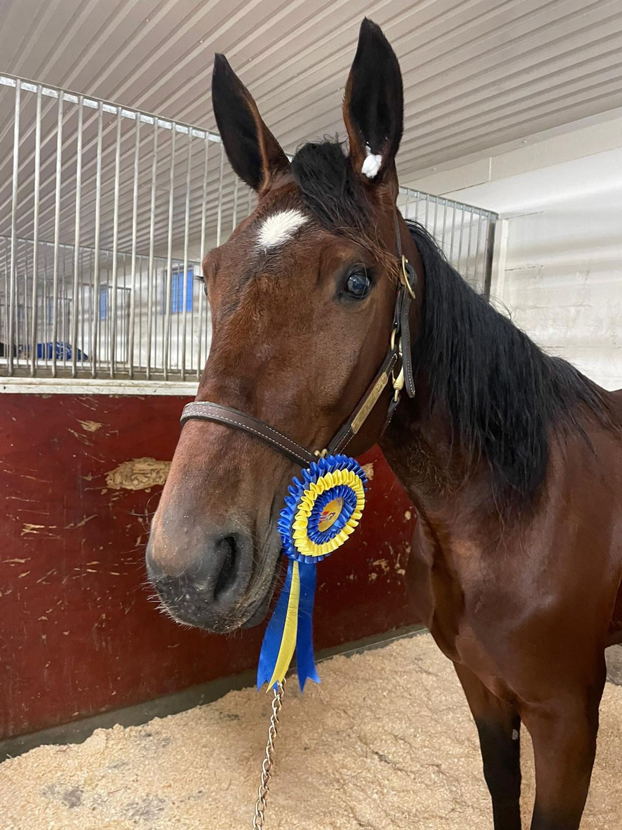 5C38EFC4-8494-450F-969A-C1BDBAD898F5