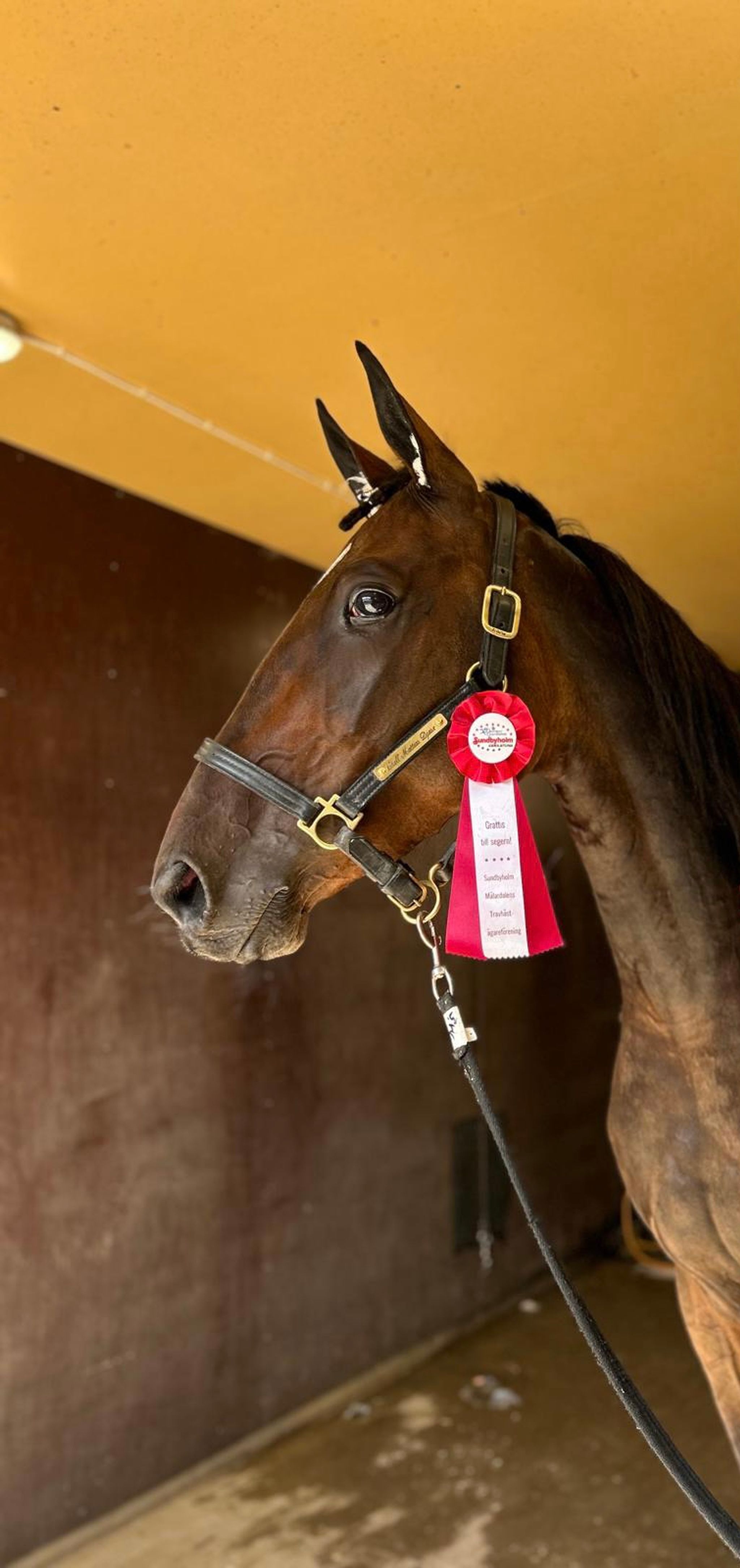 AC30BEAD-8916-4E93-A829-C943ADC44865