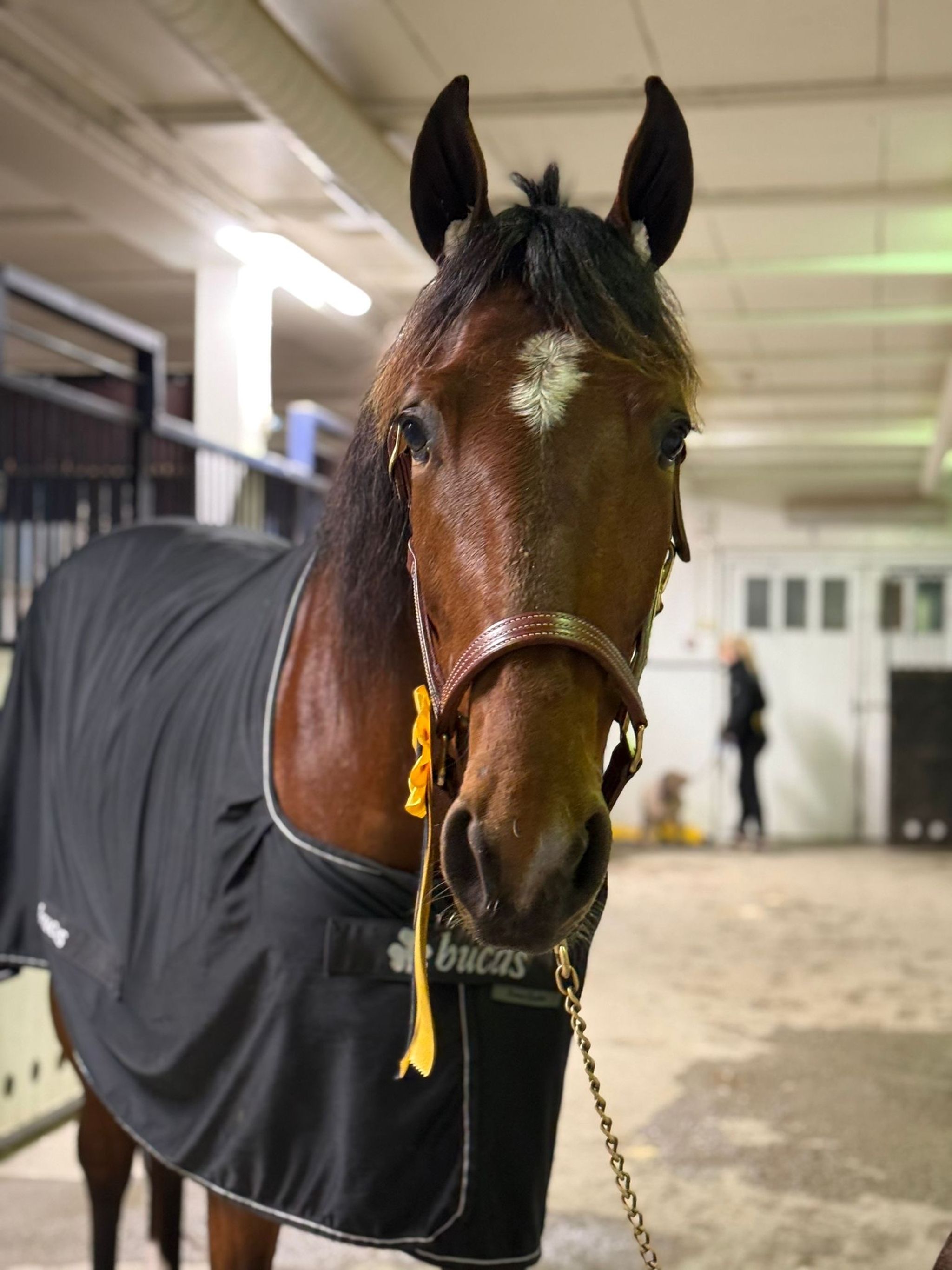 d6f61747-0a24-41d9-912d-2256fd5b38dc