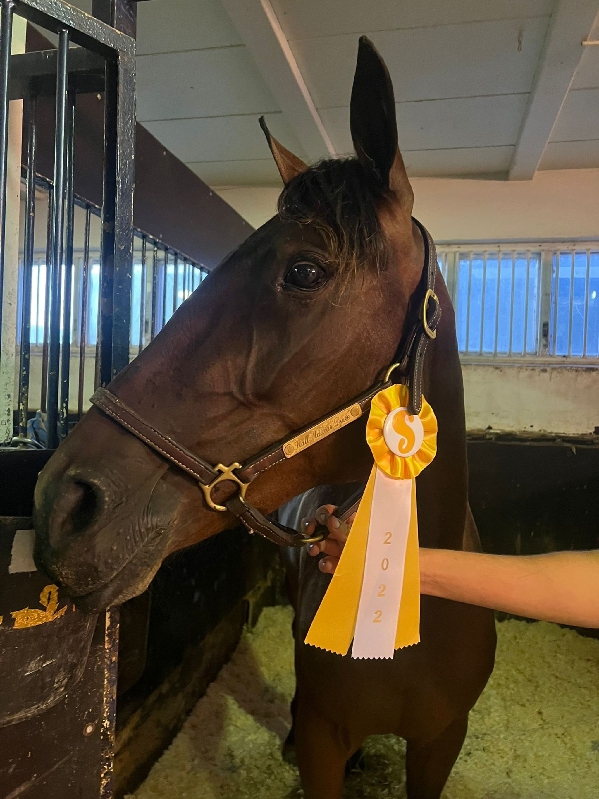 DFE873AB-68AC-415B-83EC-133D1F70C3EB