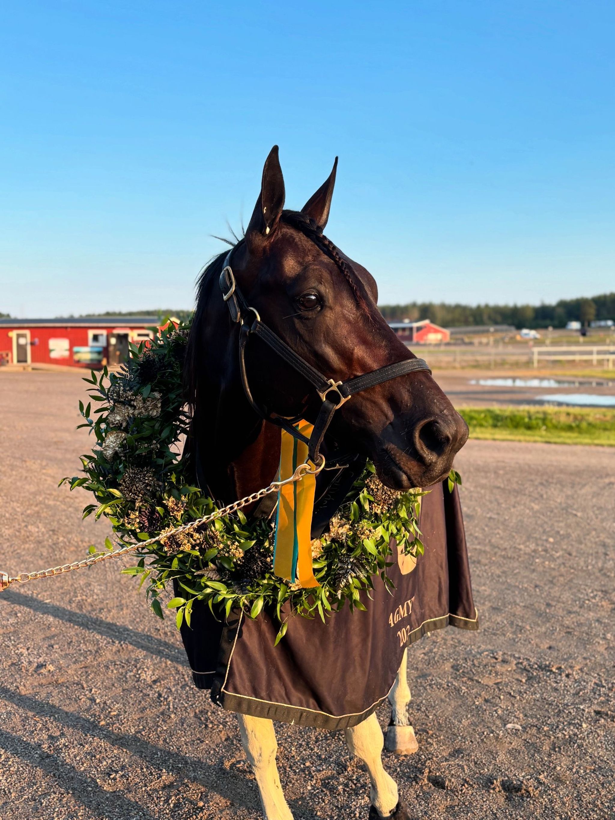 271a2ed0-2221-4594-a8ba-bdf1b8e9d909