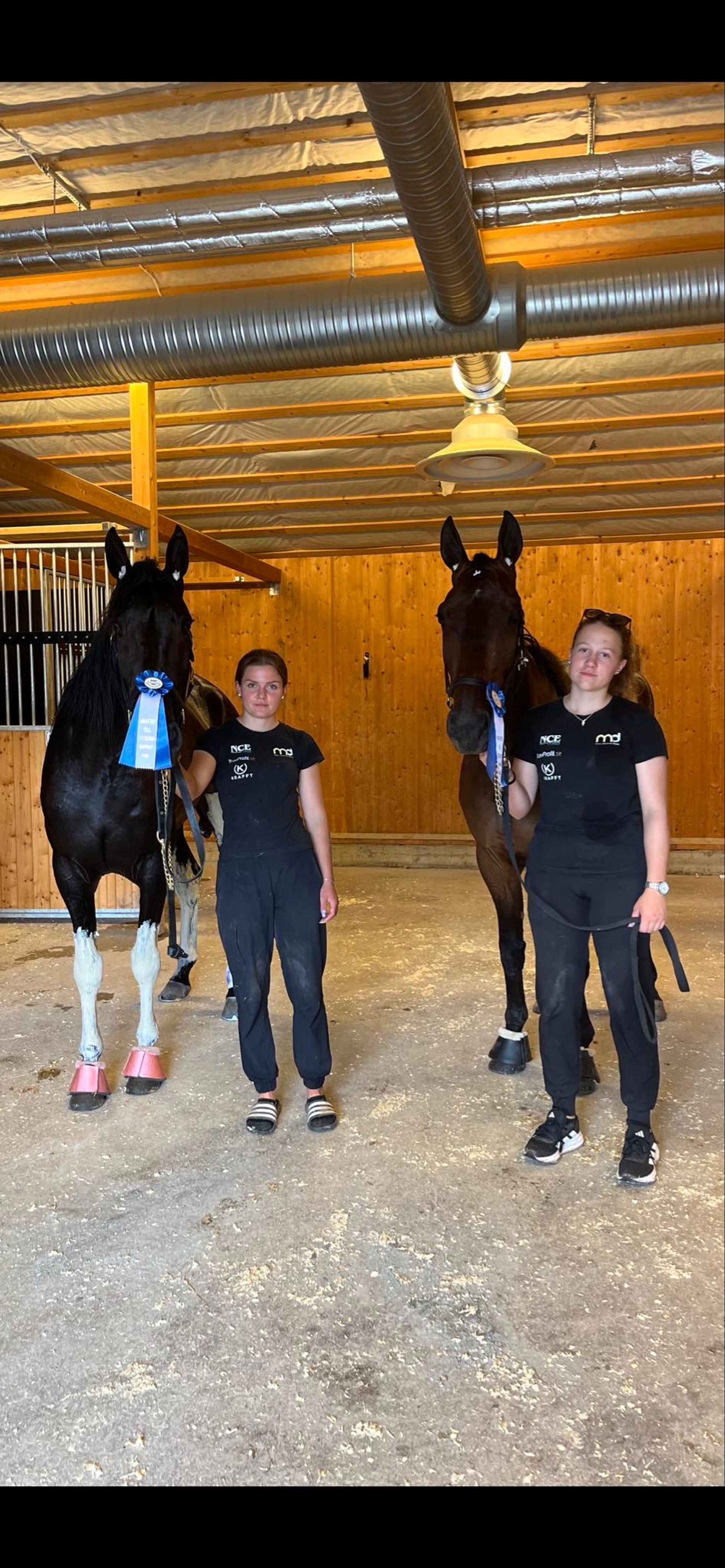 56B175FC-B5C2-4CFF-9748-3CE92DE0B3F3