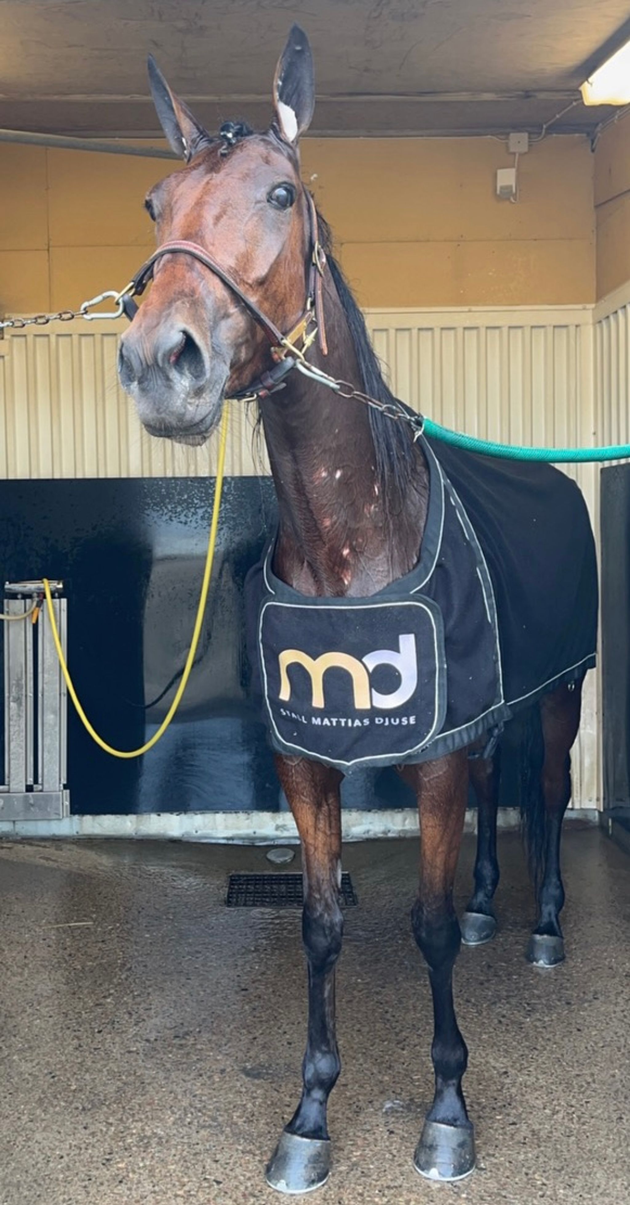 3E32B6C2-A252-434A-8977-282484B7EF5C