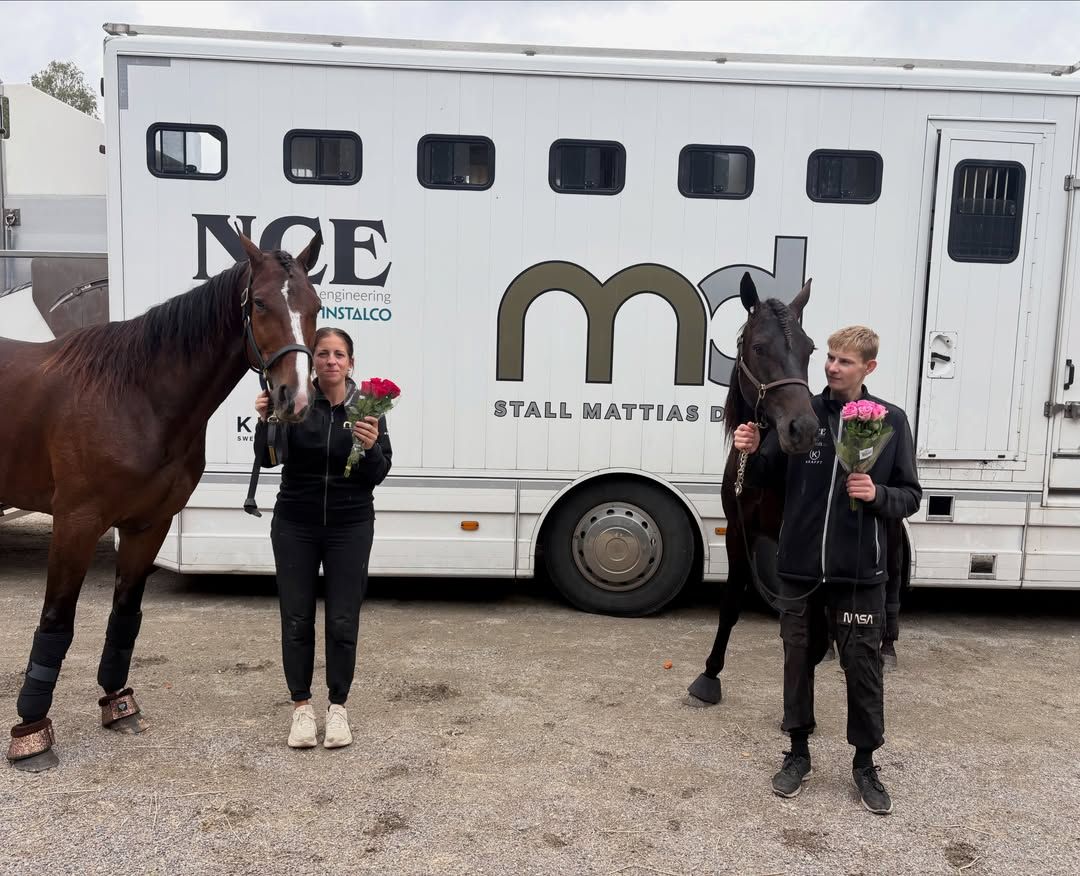 The Pope & Ferrante Broline fixar en dubbel på Sundbyholmstravet 🥇🥇💐 mattiasdjuse.se