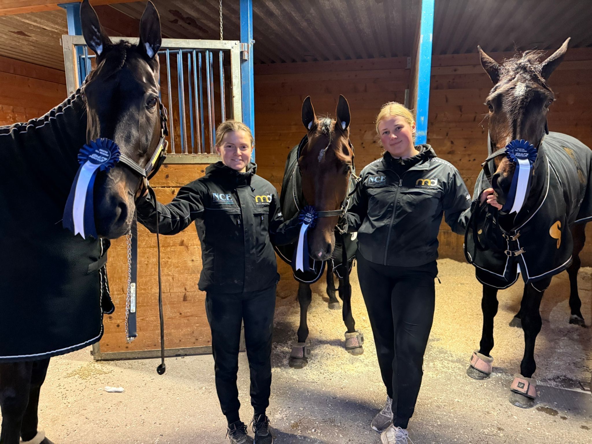 bba18481-536b-4665-b2c3-4153a54d73ae