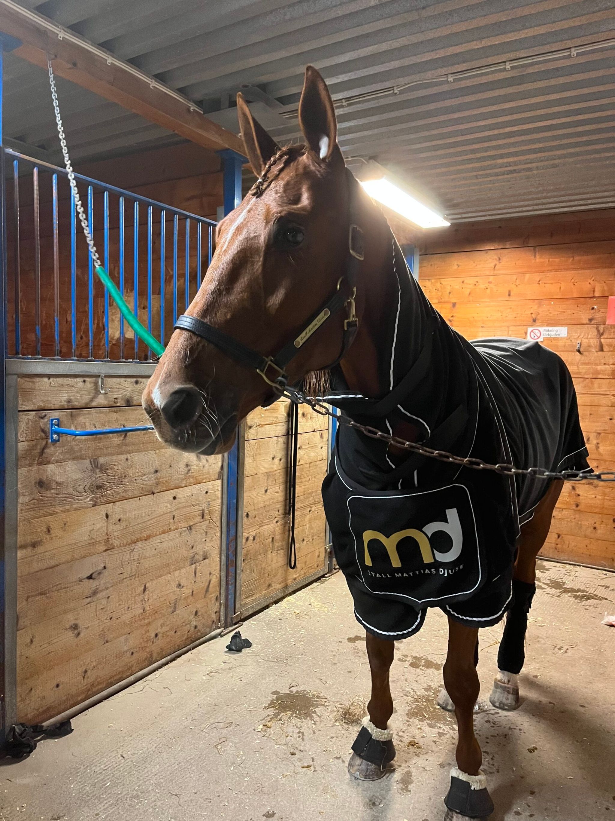 D85F05C2-F4DA-4D2D-9D92-069F85DE5B72