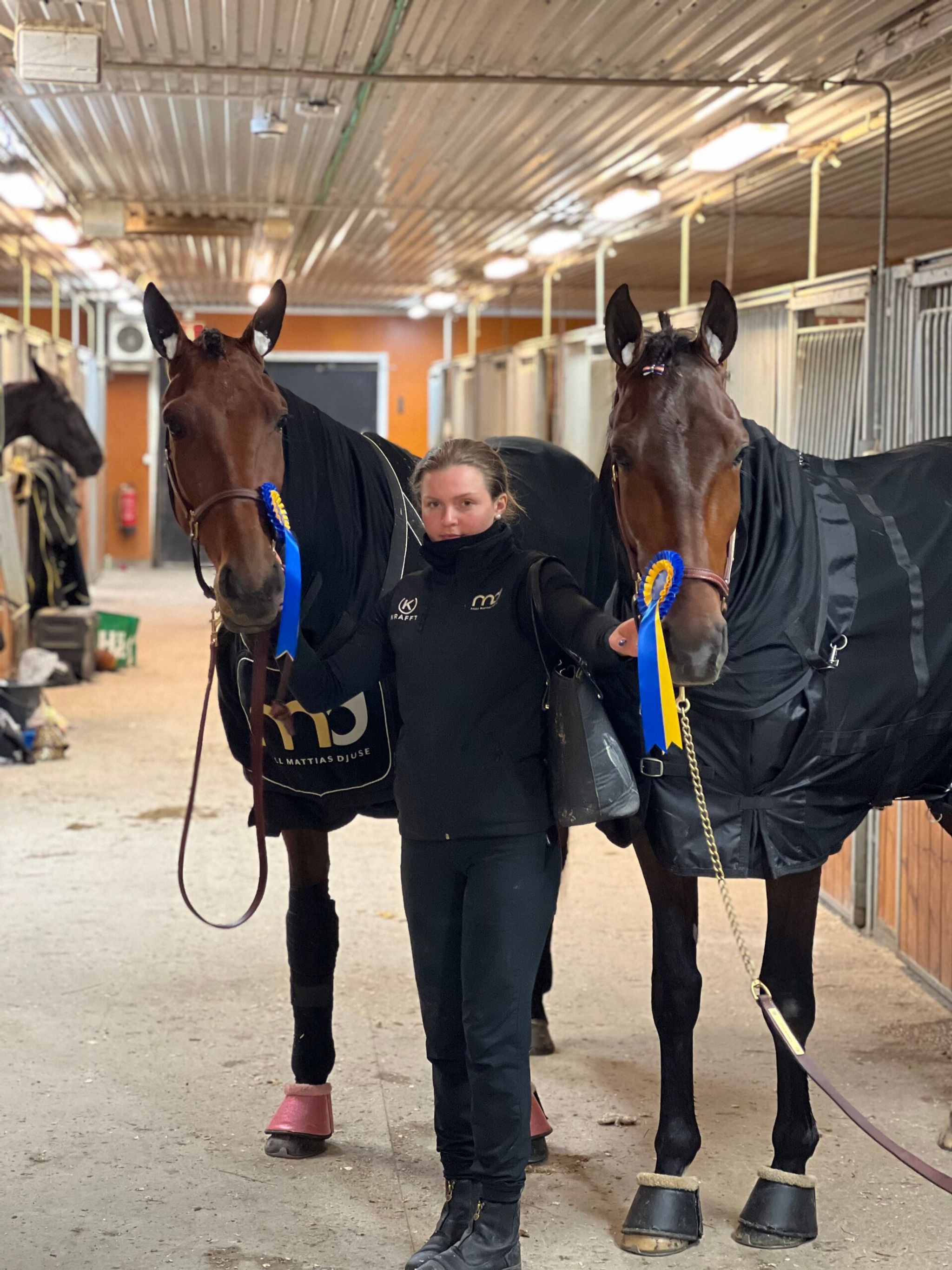 D6F68EC7-52E7-45A4-97BF-86D301E99371