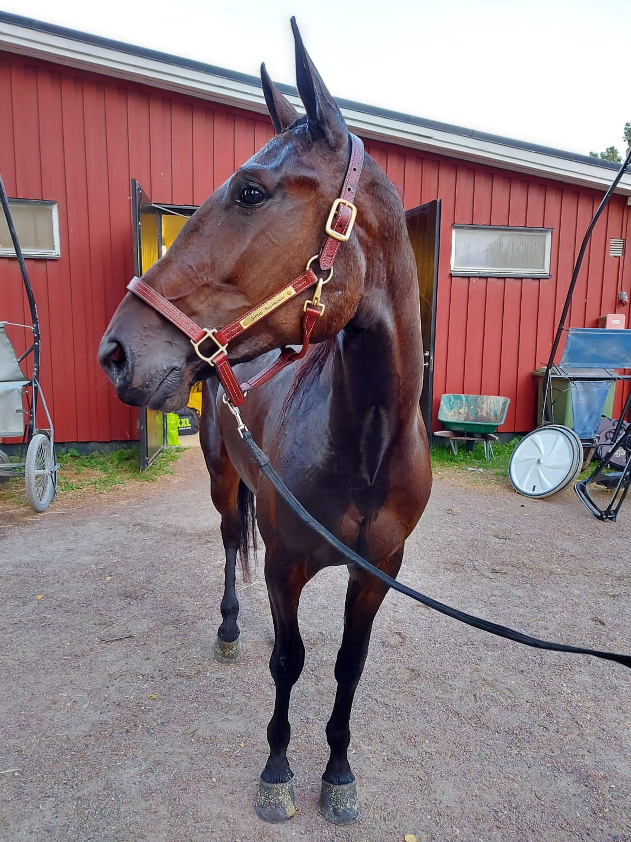 835157B5-271A-44B5-9A06-3798C134DDF4