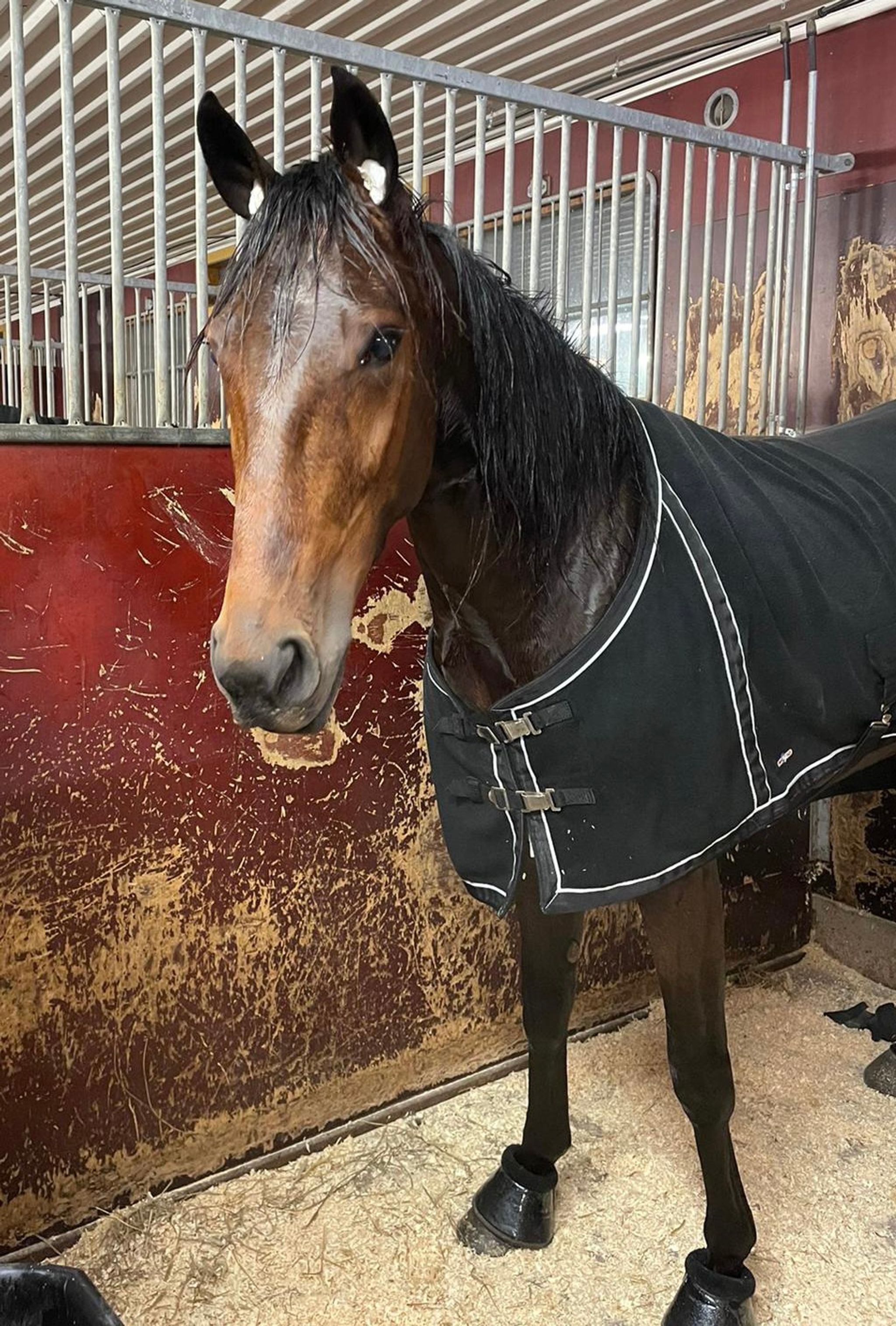 AE566F1A-3418-4FBE-B288-2700D090BD77