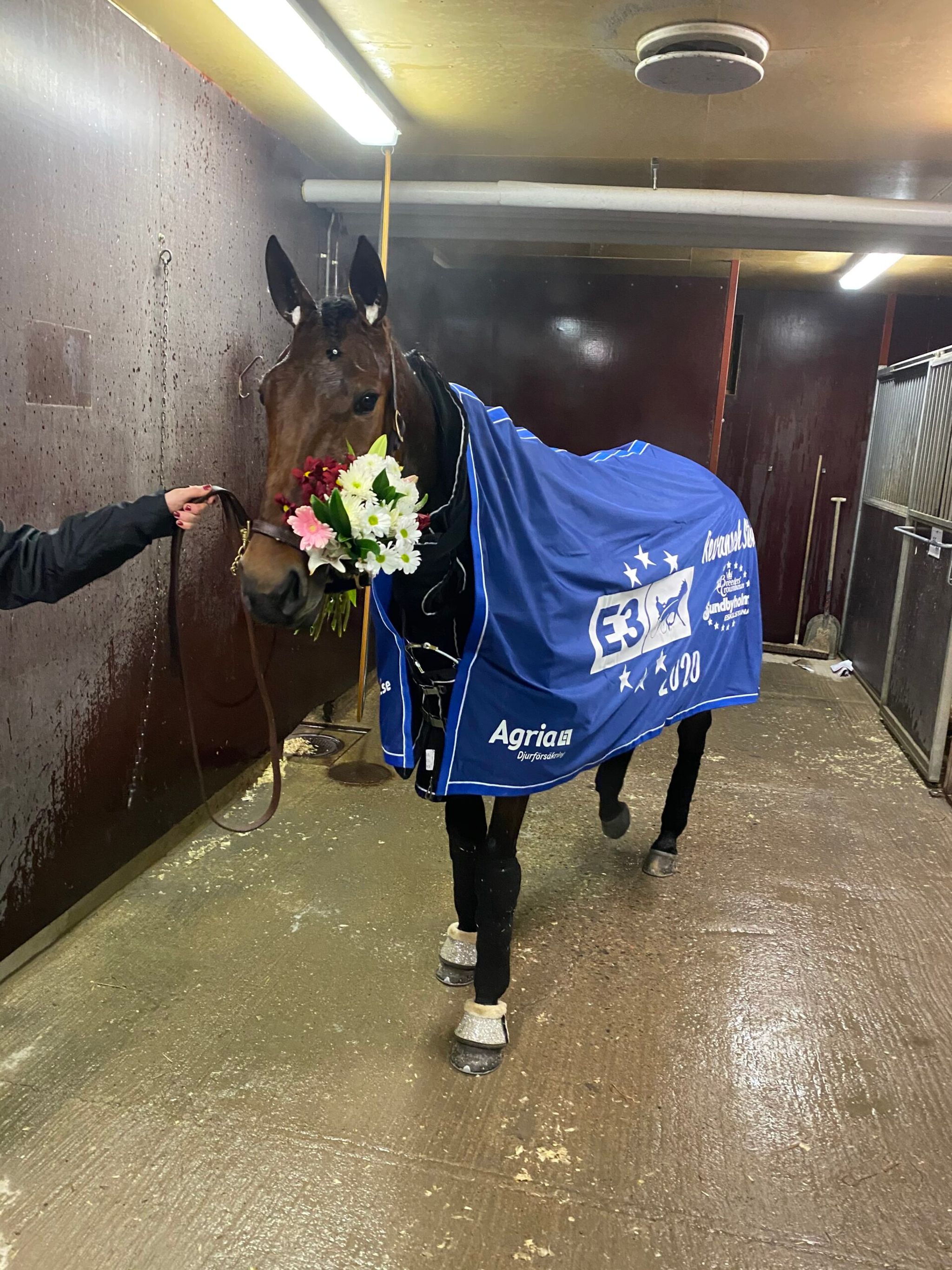 08754BCB-C6DE-4311-B98E-5F8010BA3E2A