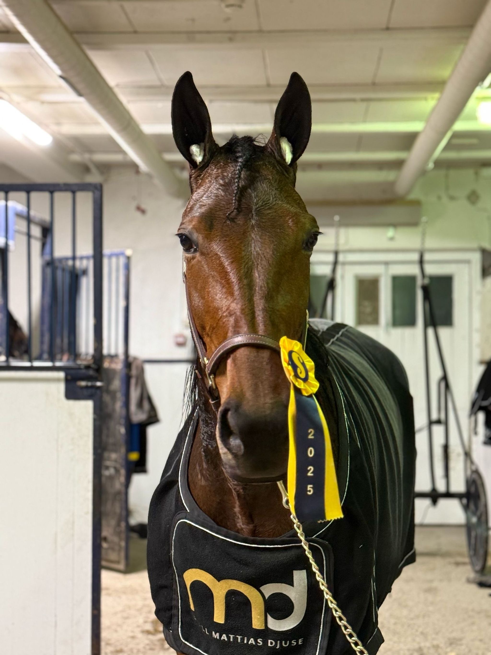 1251d739-aa19-4e43-b91f-87a093df669e