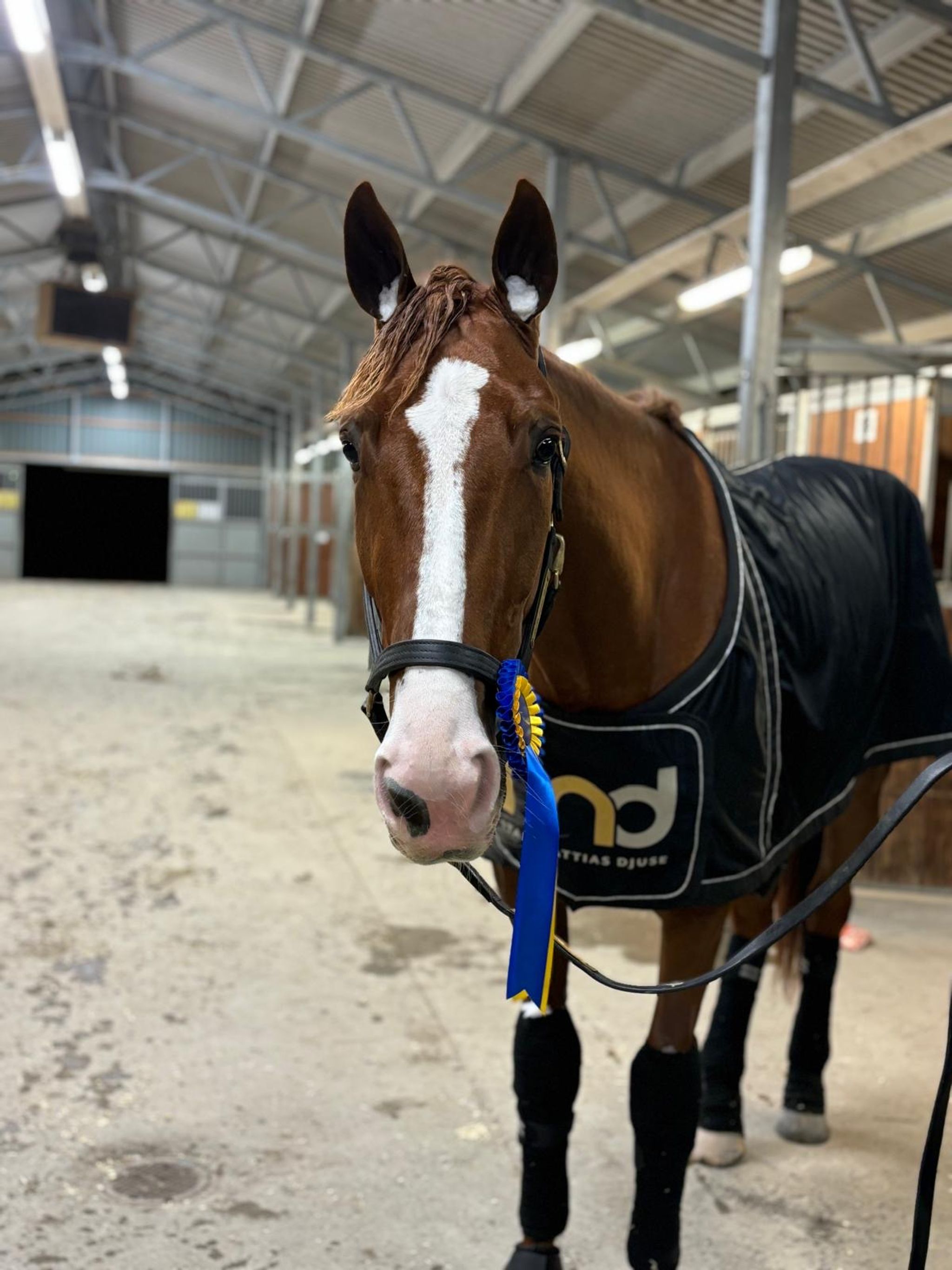 379e1099-c9a3-4dc8-b99f-a80ebe32bcff