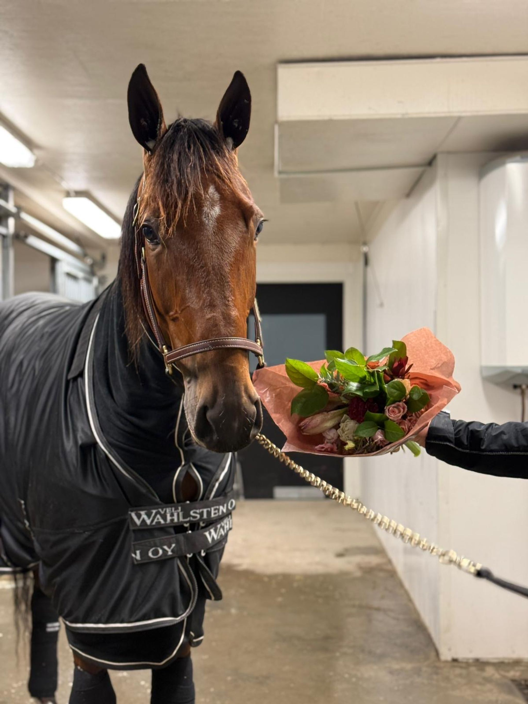 da60b92b-2d62-41a2-8ce6-0c59214f1238