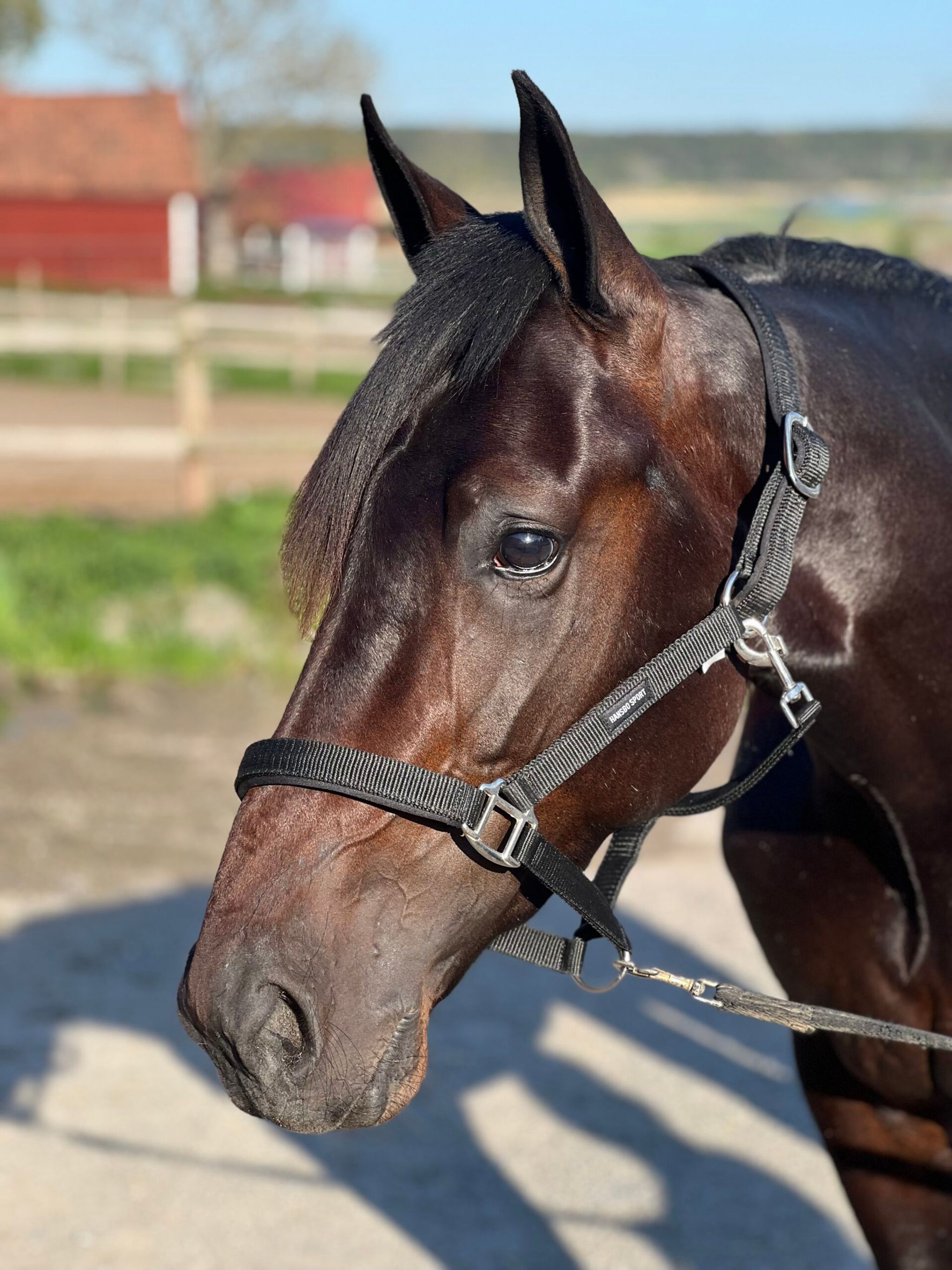 71B704D0-F1C1-4060-BFB5-BAB8819E88DB