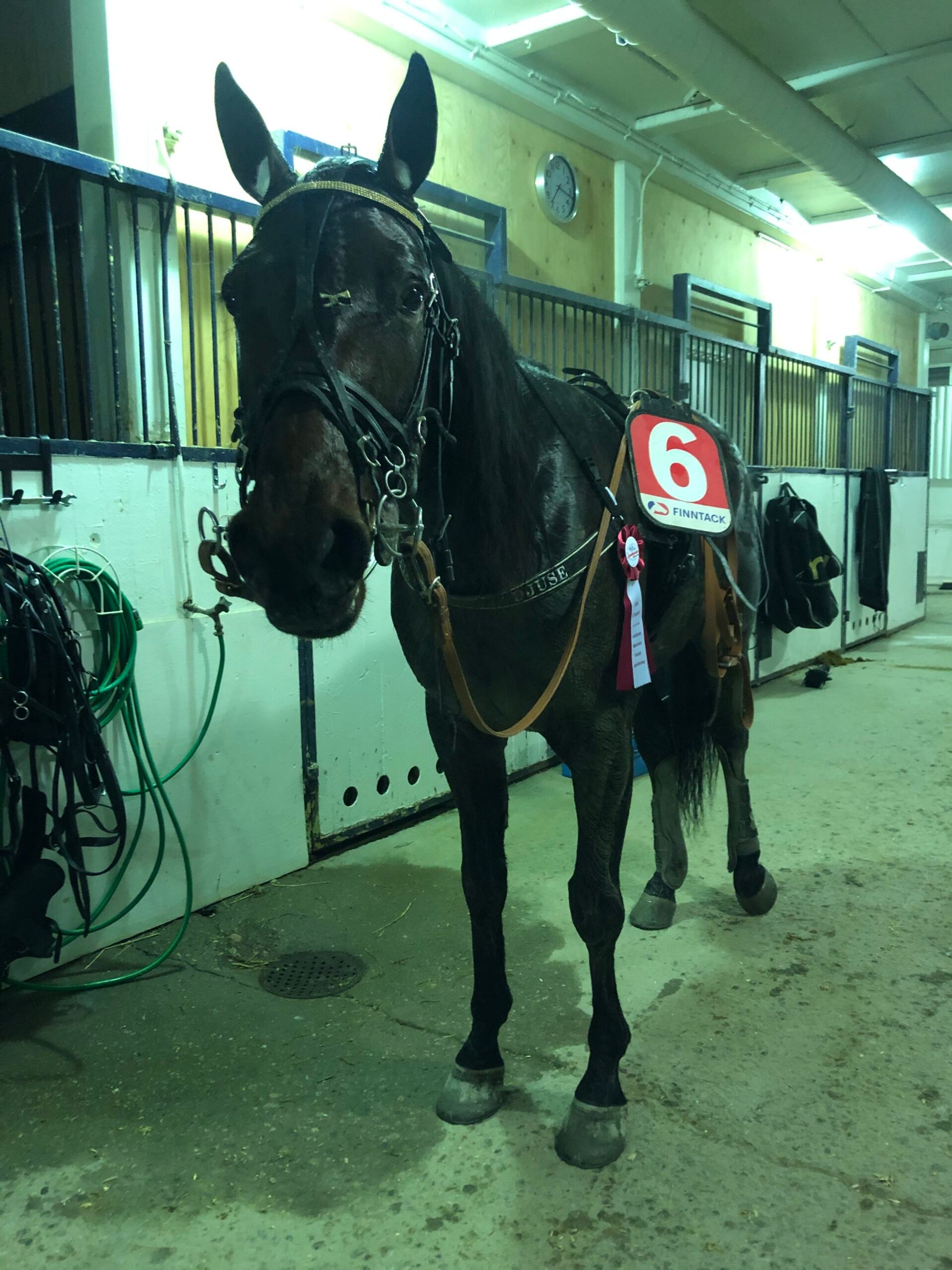 3B8E18DF-4D8B-4C0A-AFCE-E64C70C08F07