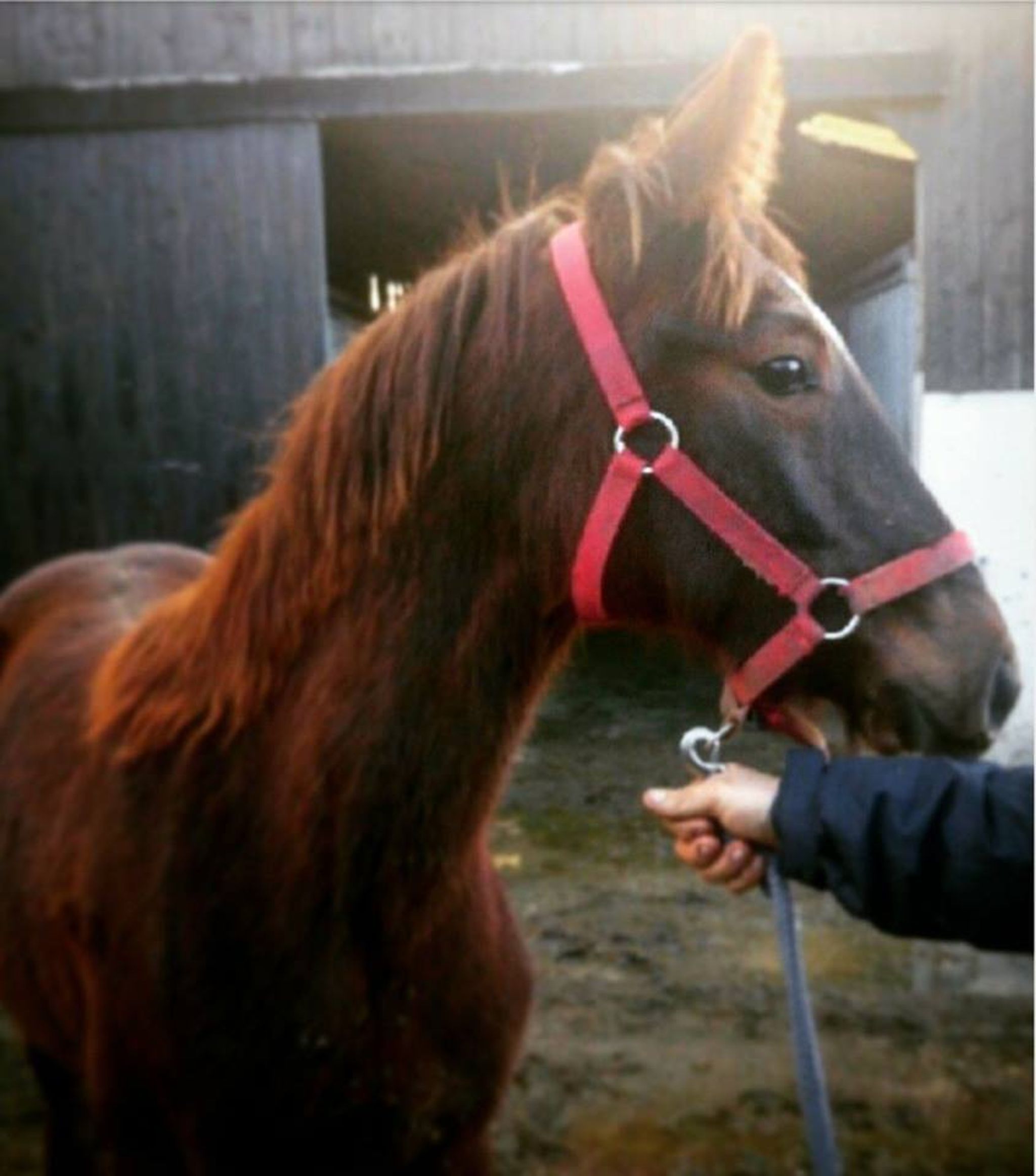 27073235_1721851284543977_5643333296836647955_n