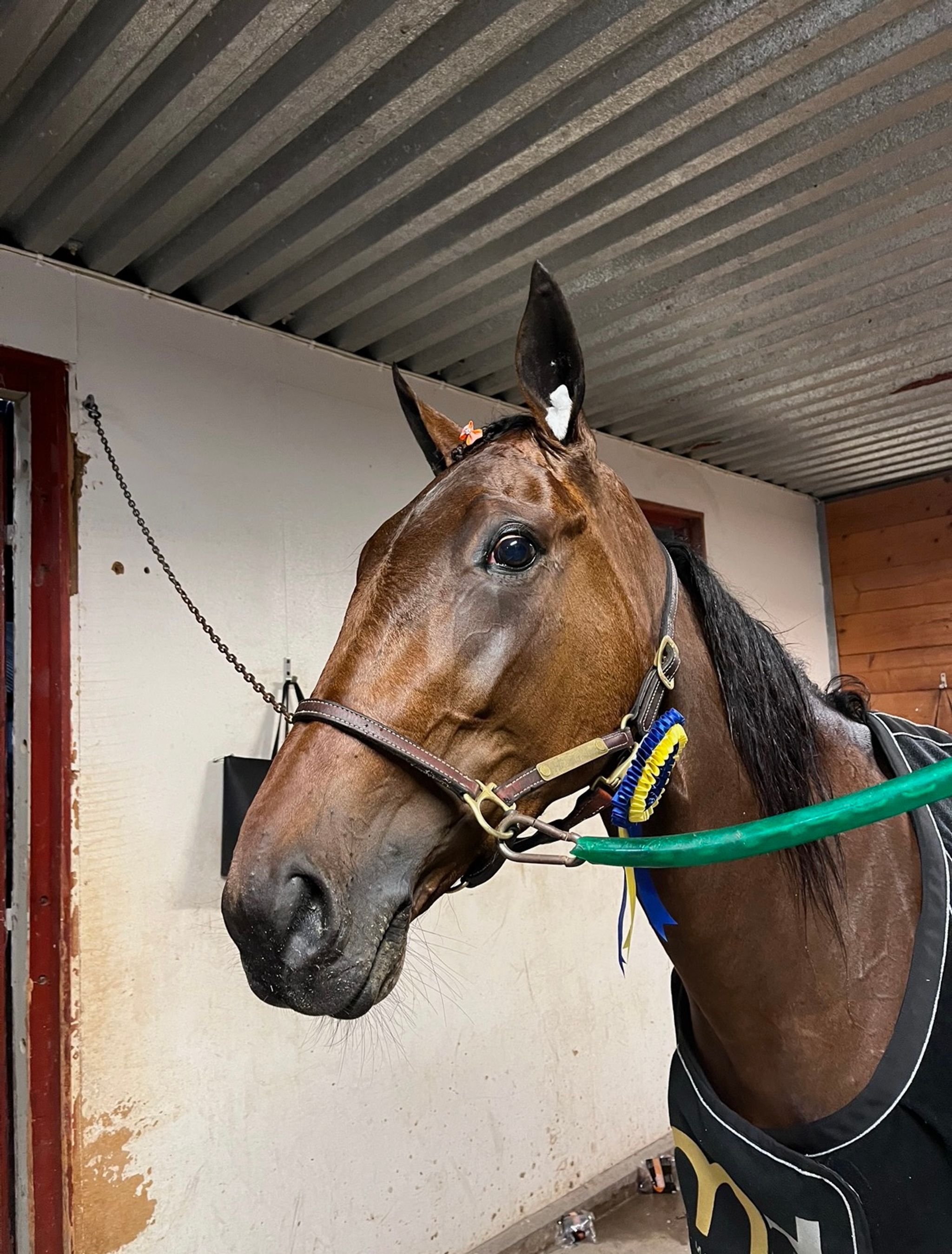 CB22232A-466C-4073-AC6D-1C699E66C61E