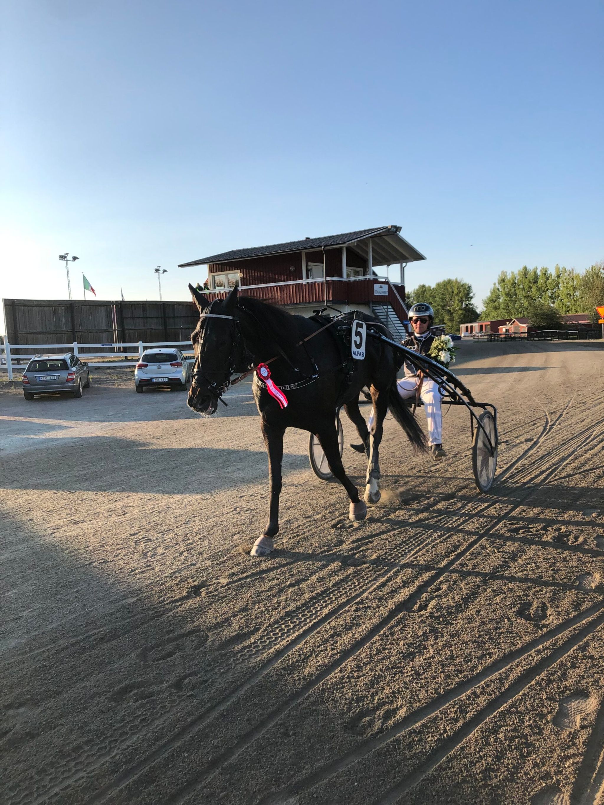 E7D93C31-7AC0-4DAA-8064-6C49304D39A0