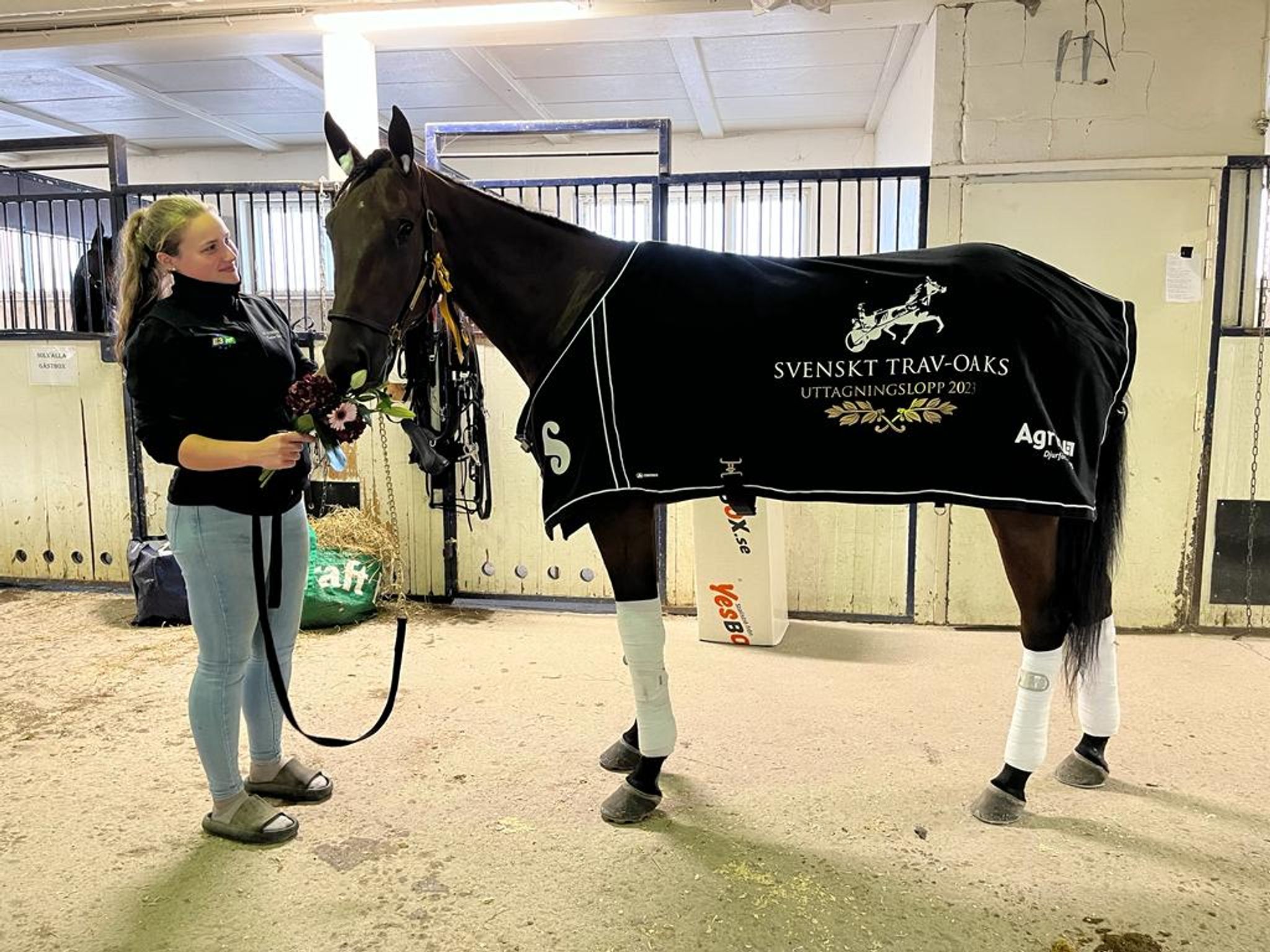 1a58ffc2-1341-4b12-845f-1b1345f9eba9