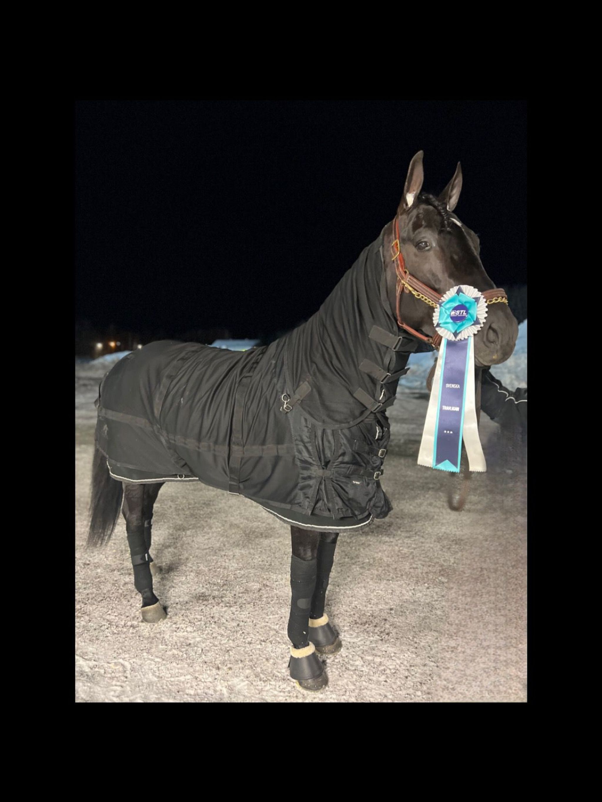 84EA6650-4A11-4288-89A6-174314DB0382