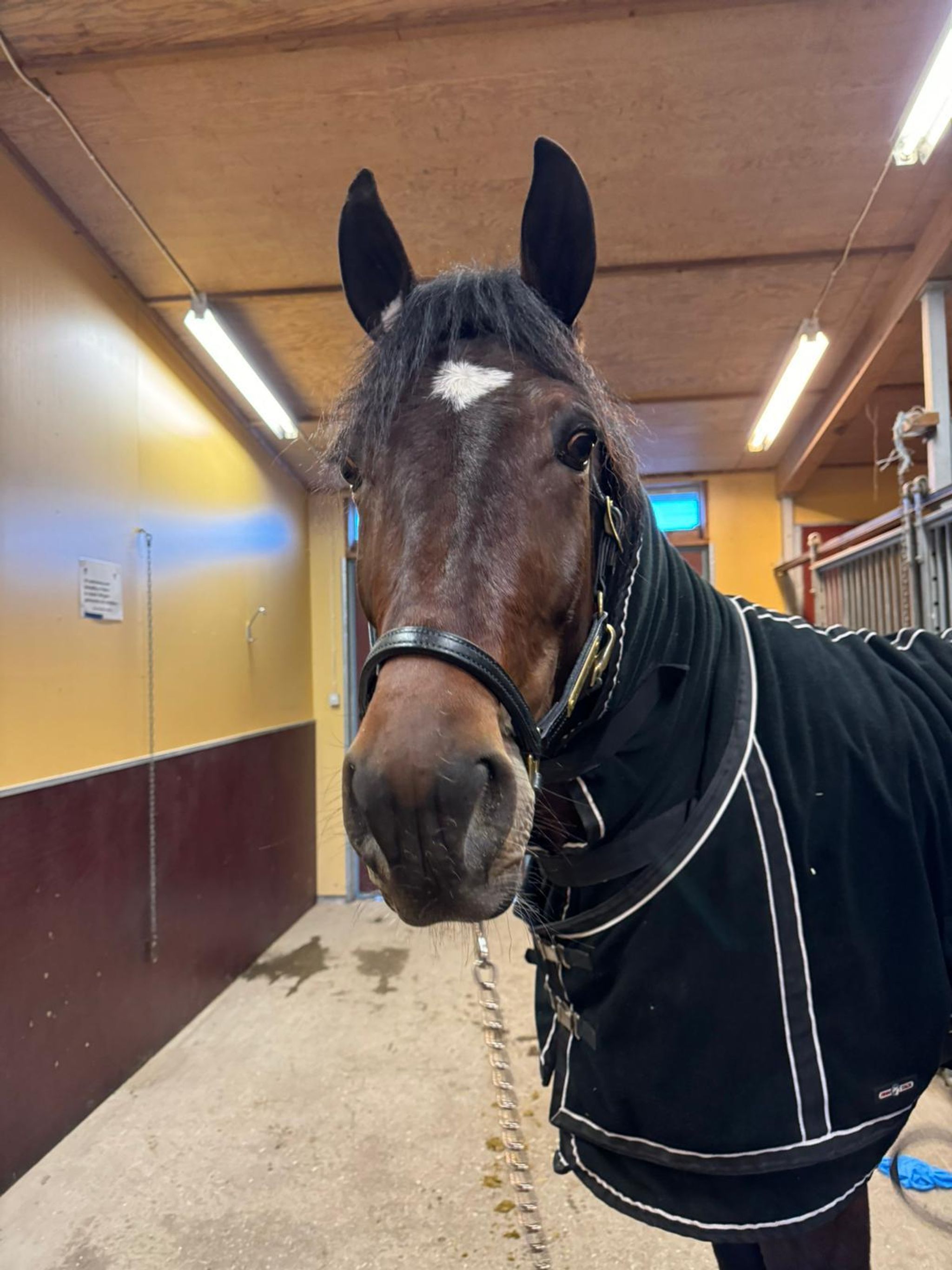 EBDB8E53-7DEC-466E-AAC8-F5631FD7D899