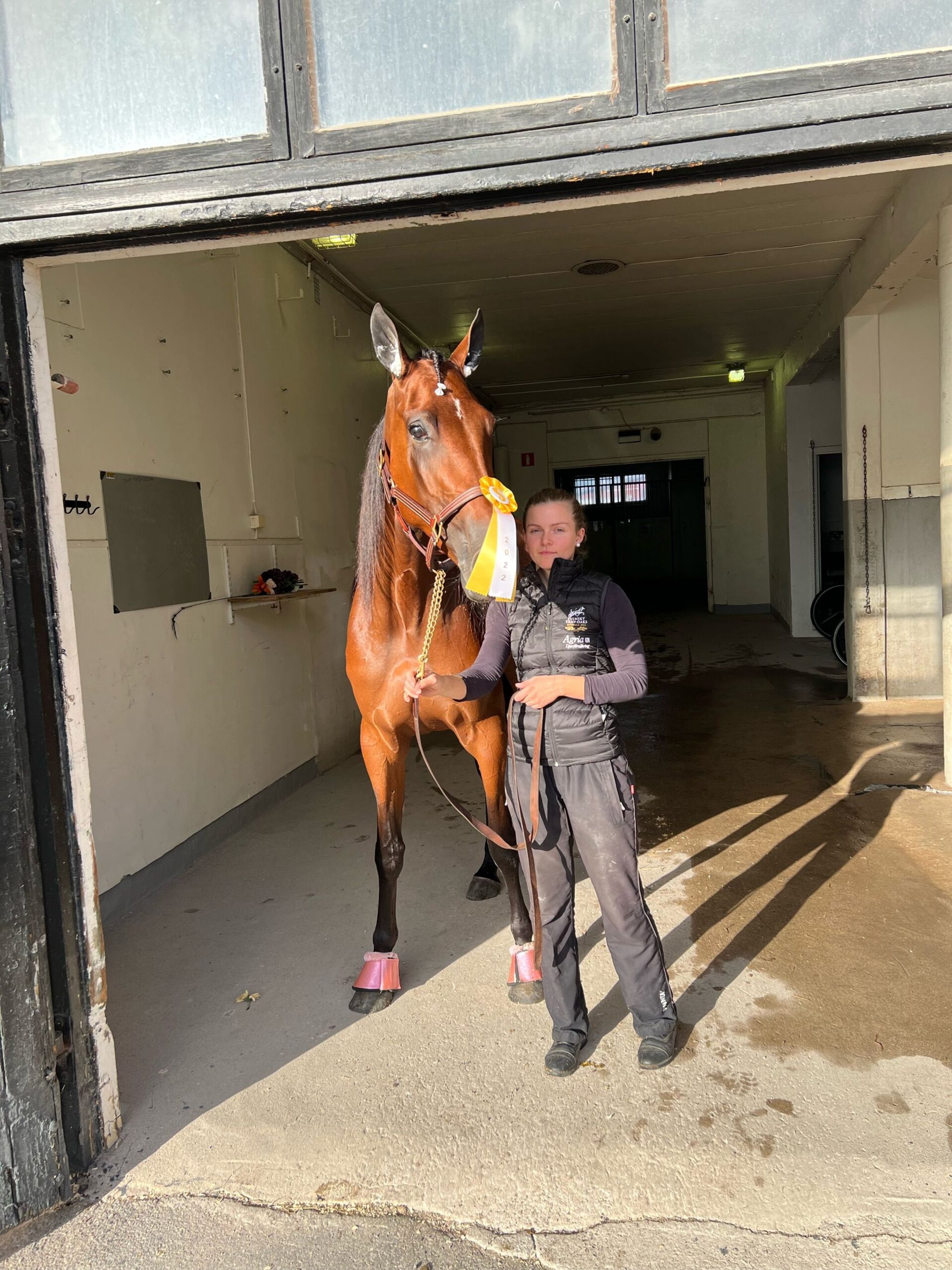 4A45CE6E-EE2A-4A16-B5CC-0F8D50EE258C