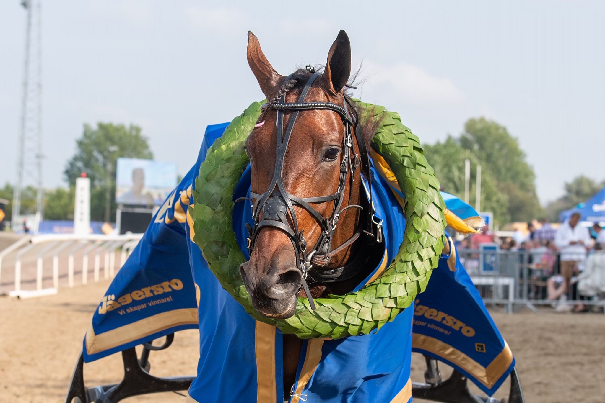 1414F79F-4199-4137-9ACB-2C1833B07FDA