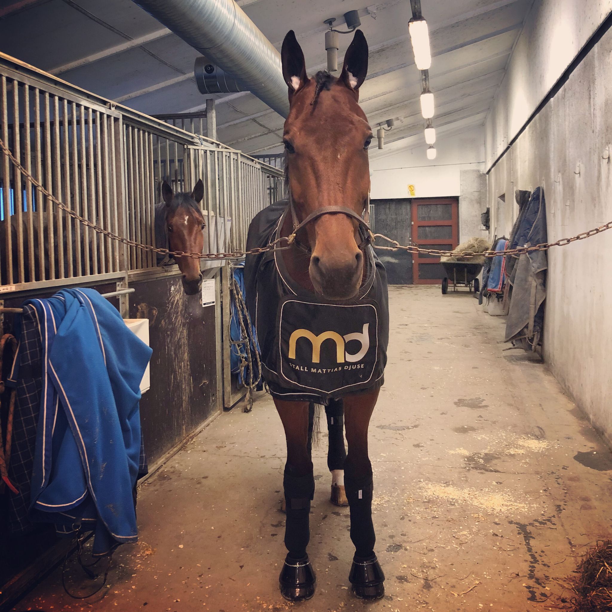 92D43A79-716D-4AF5-AF14-2204B4D921E8