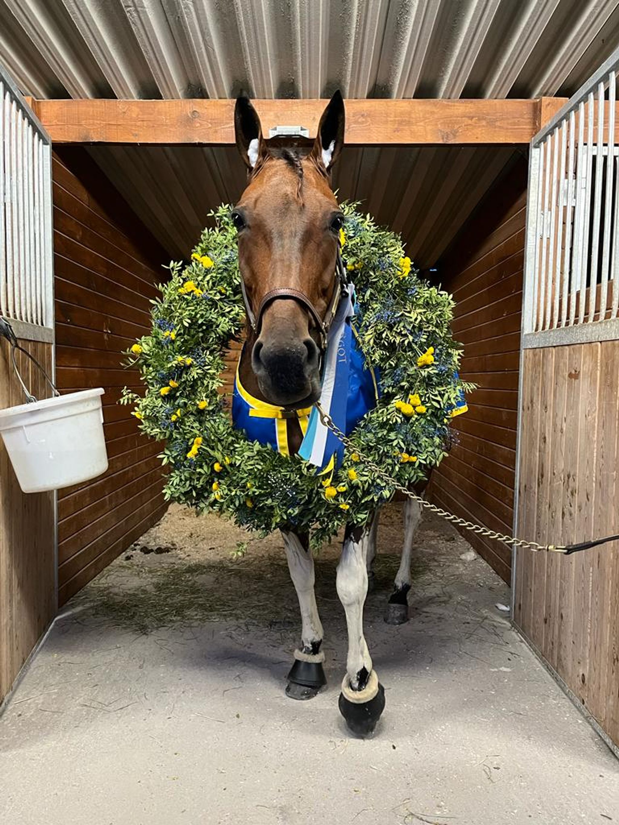 2E837935-F0E0-429B-8D35-E33ECB4EE176