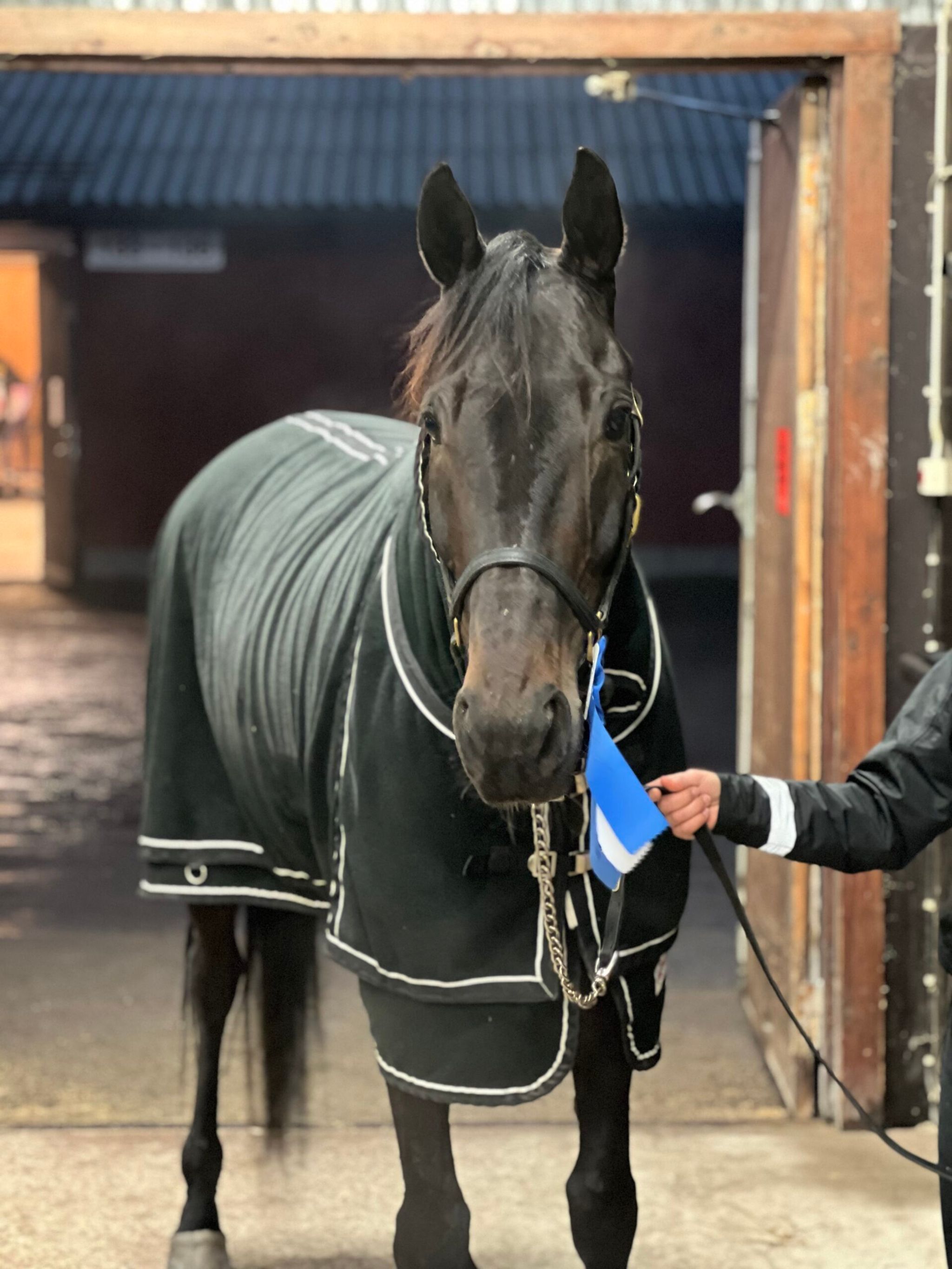 D8212388-0D37-43E5-844D-7751FC2BB137