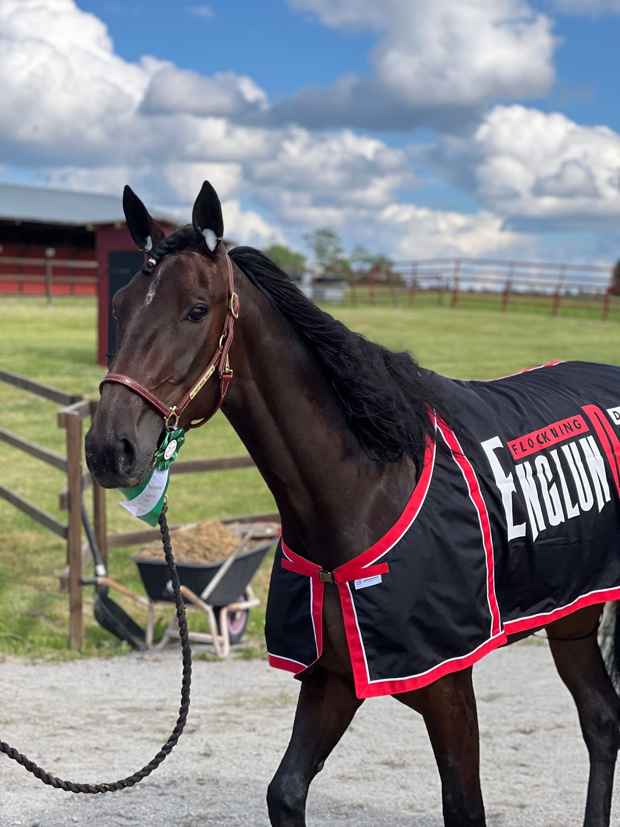 DF5F6BCF-0822-47D6-B2C6-AA730397323E