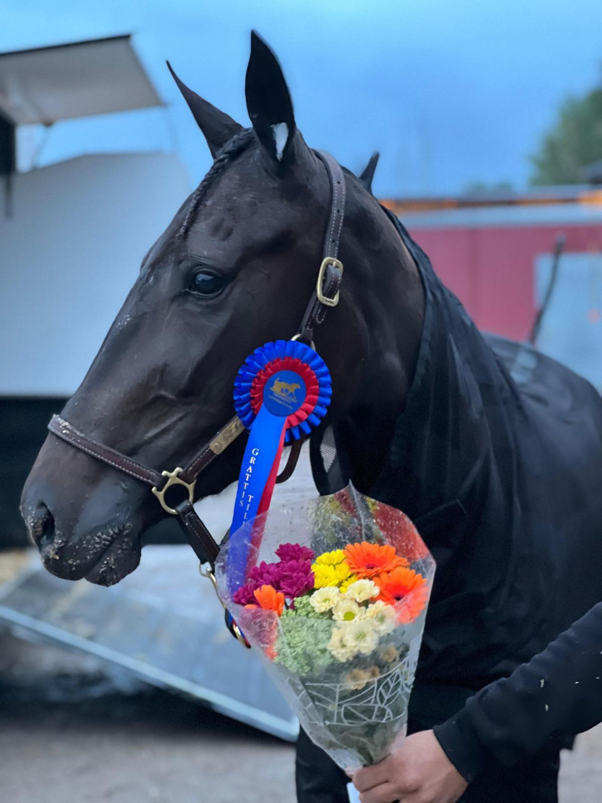 B6E561D6-D877-4BF9-A0EA-898807C0A389