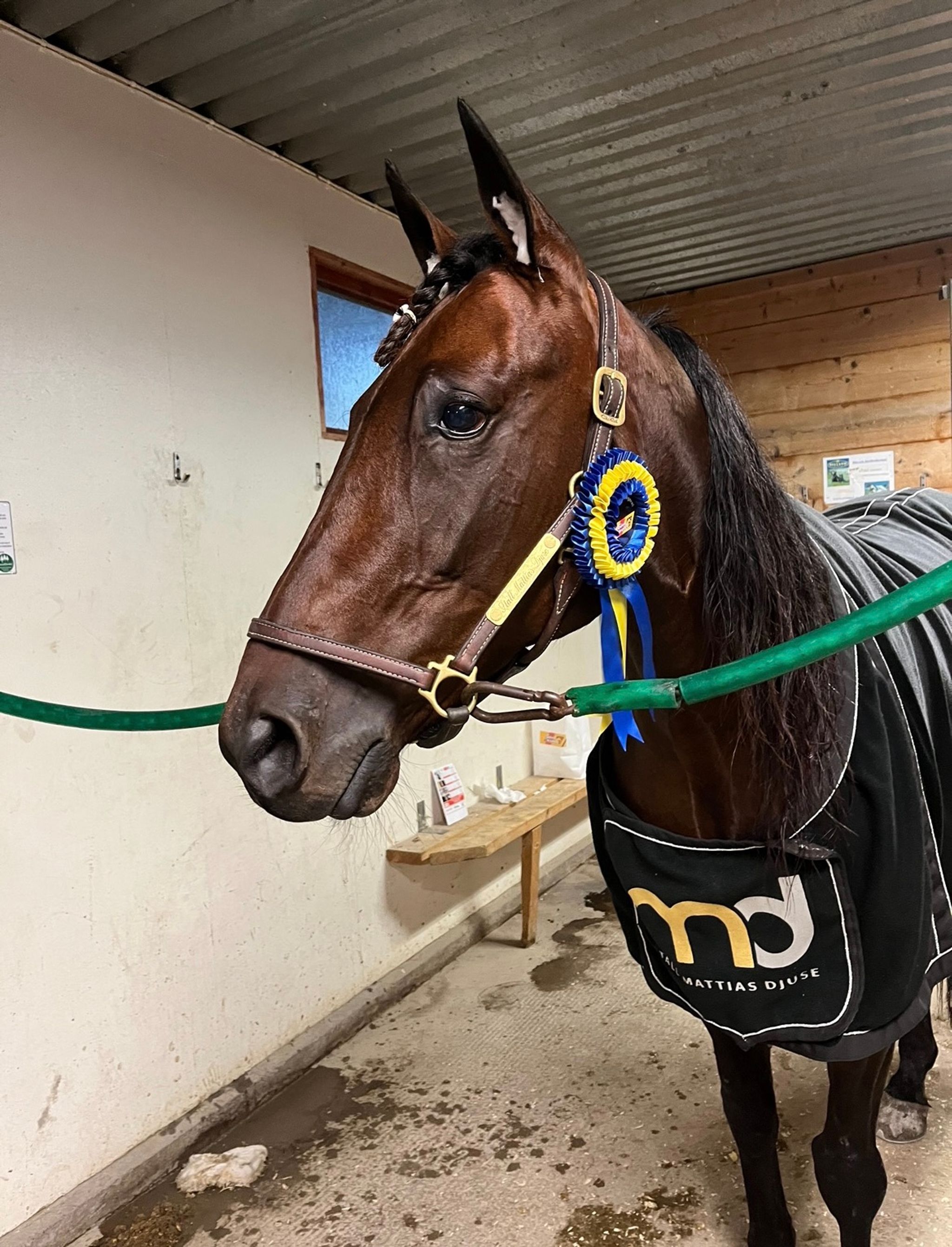 638252F6-1C86-4B68-B69C-A3974FBAEC7C